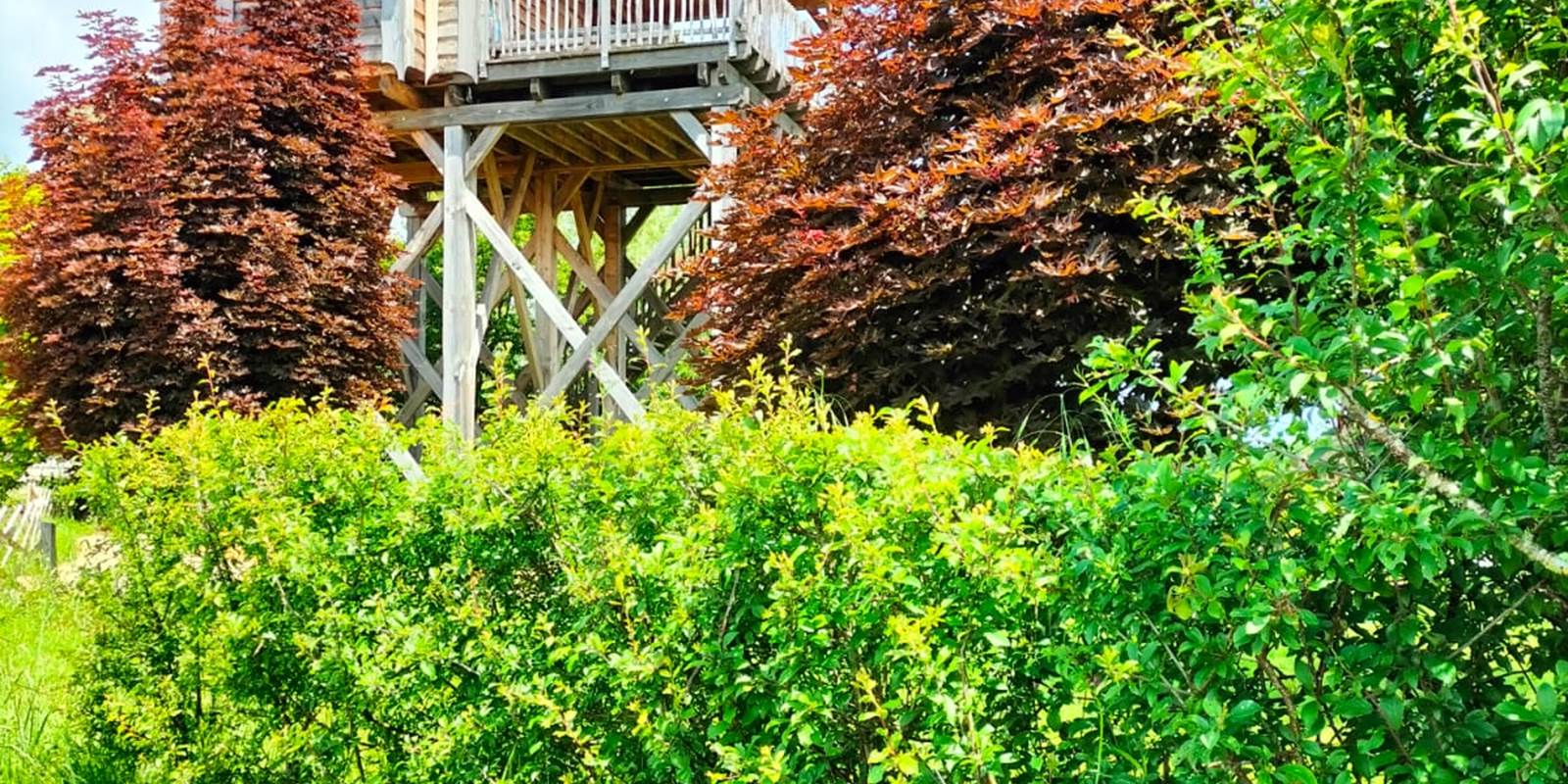 Nature entre Corrèze et Périgord