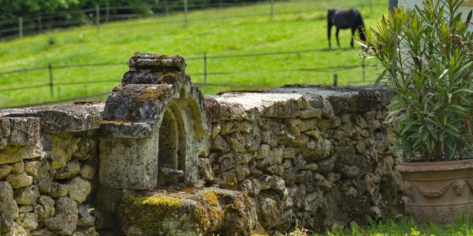 Arrivée à Malignac: la Grande Maison côté jardin