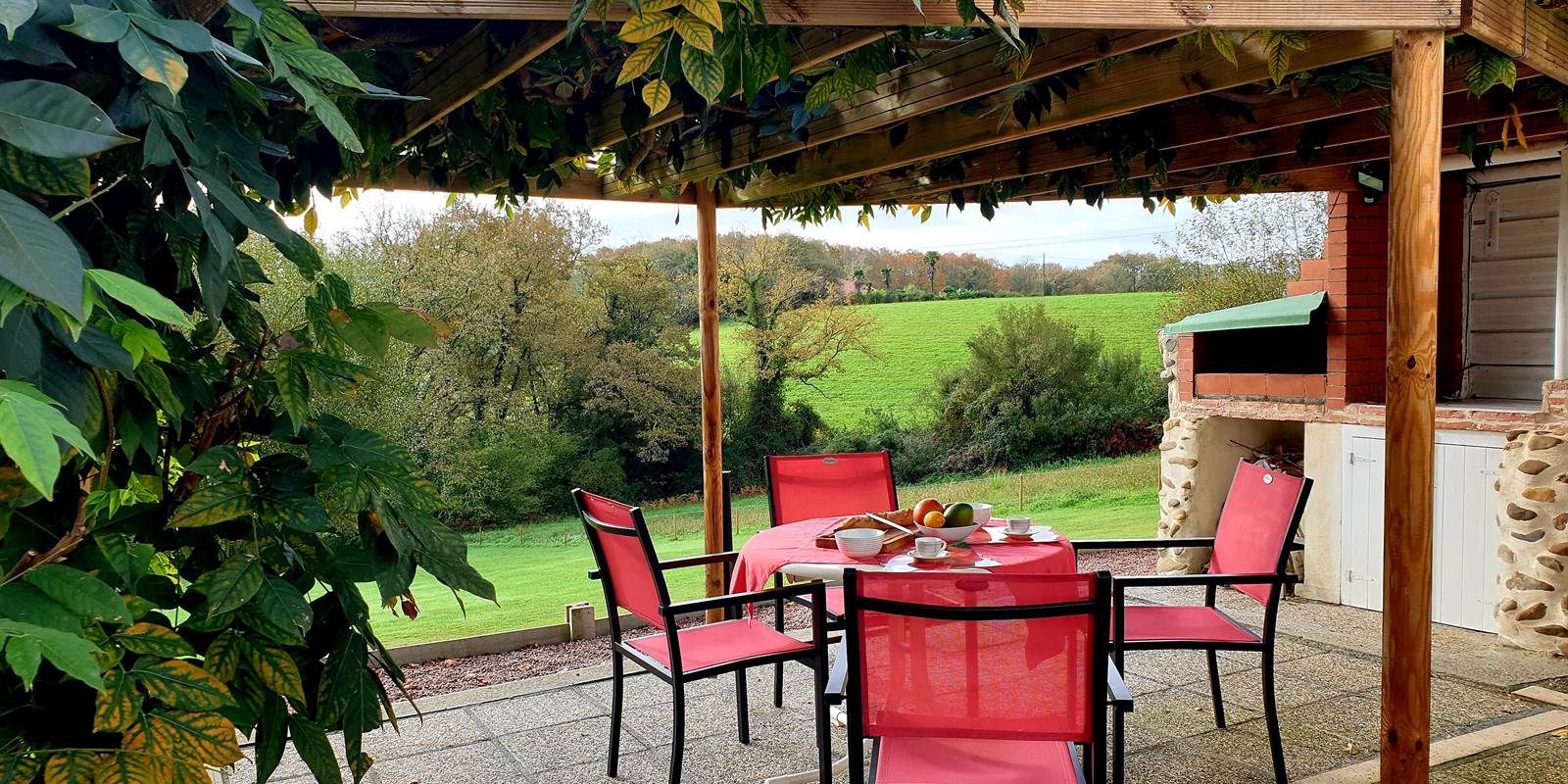 Terrasse et végatation