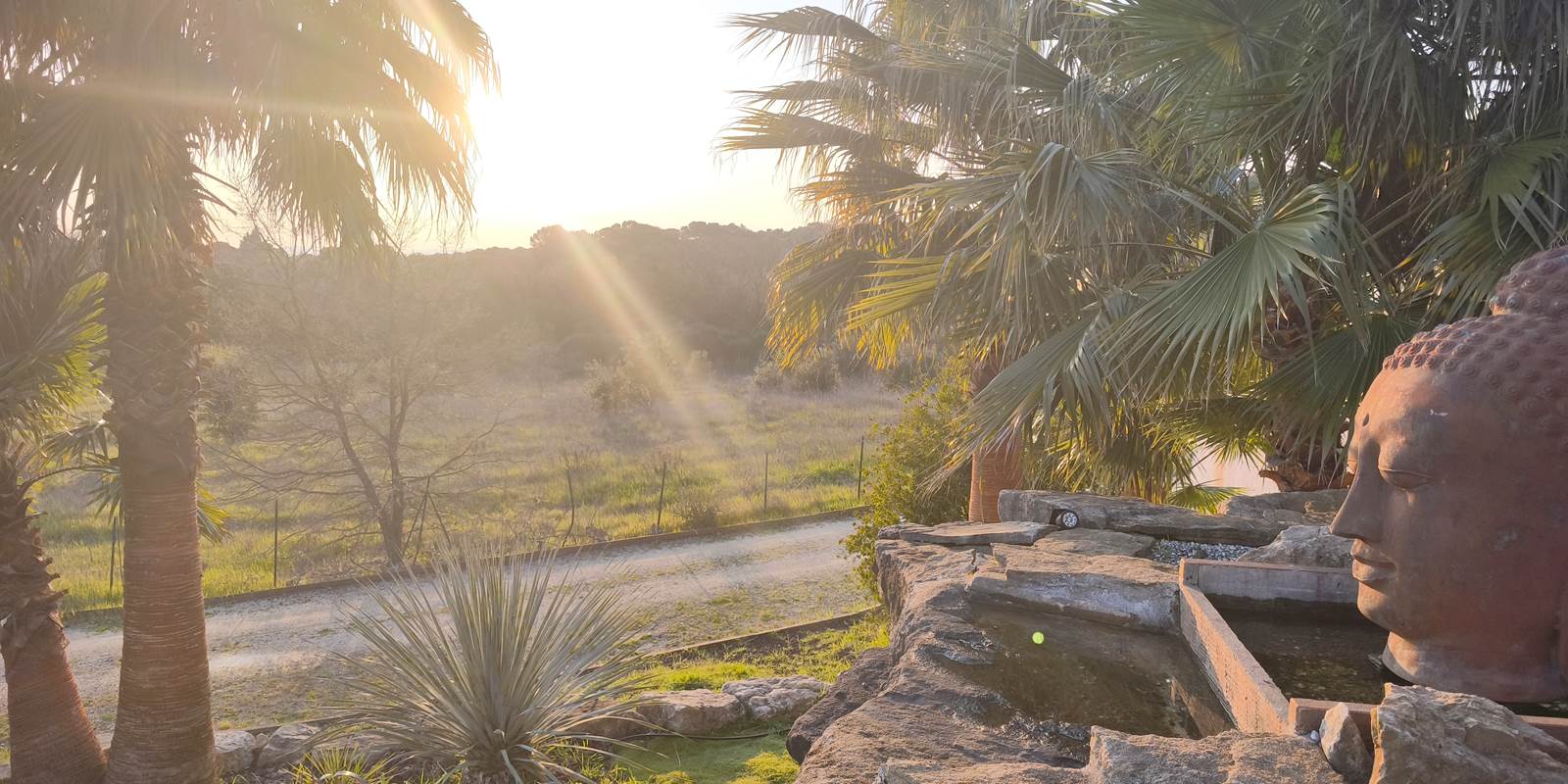 Coucher de soleil - Domaine de Jolio