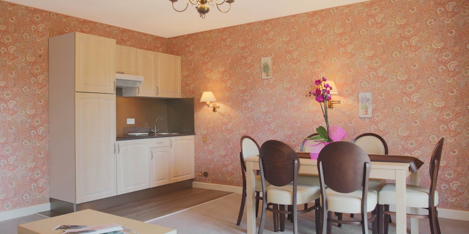 Gîte Junior Suite avec terrasse cuisine séjour gîte 29 30