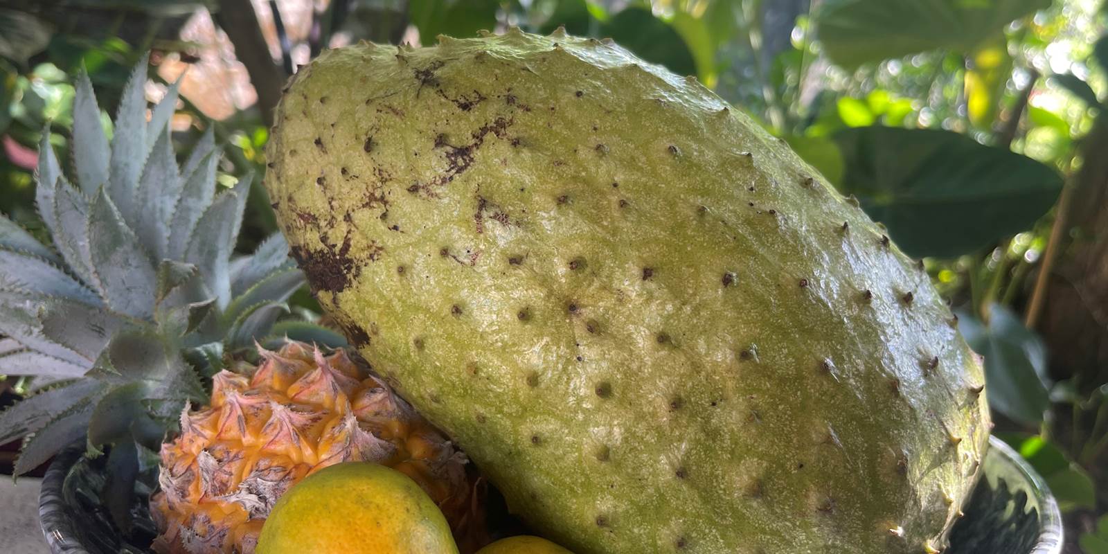 Petit déjeuner à base fruits frais du jardin