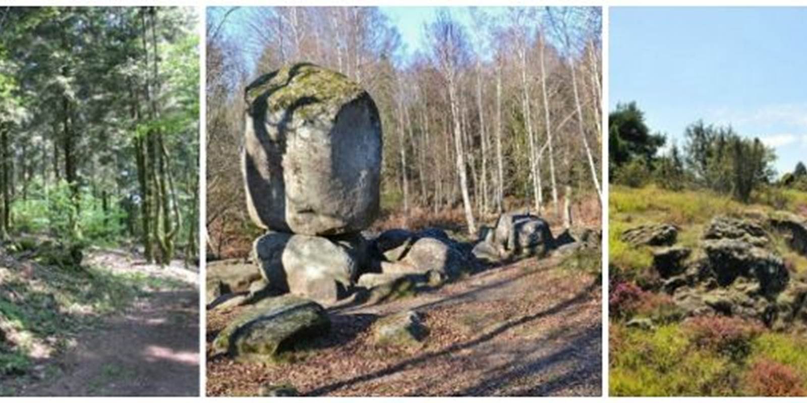 Randonne´e tryptique Blond