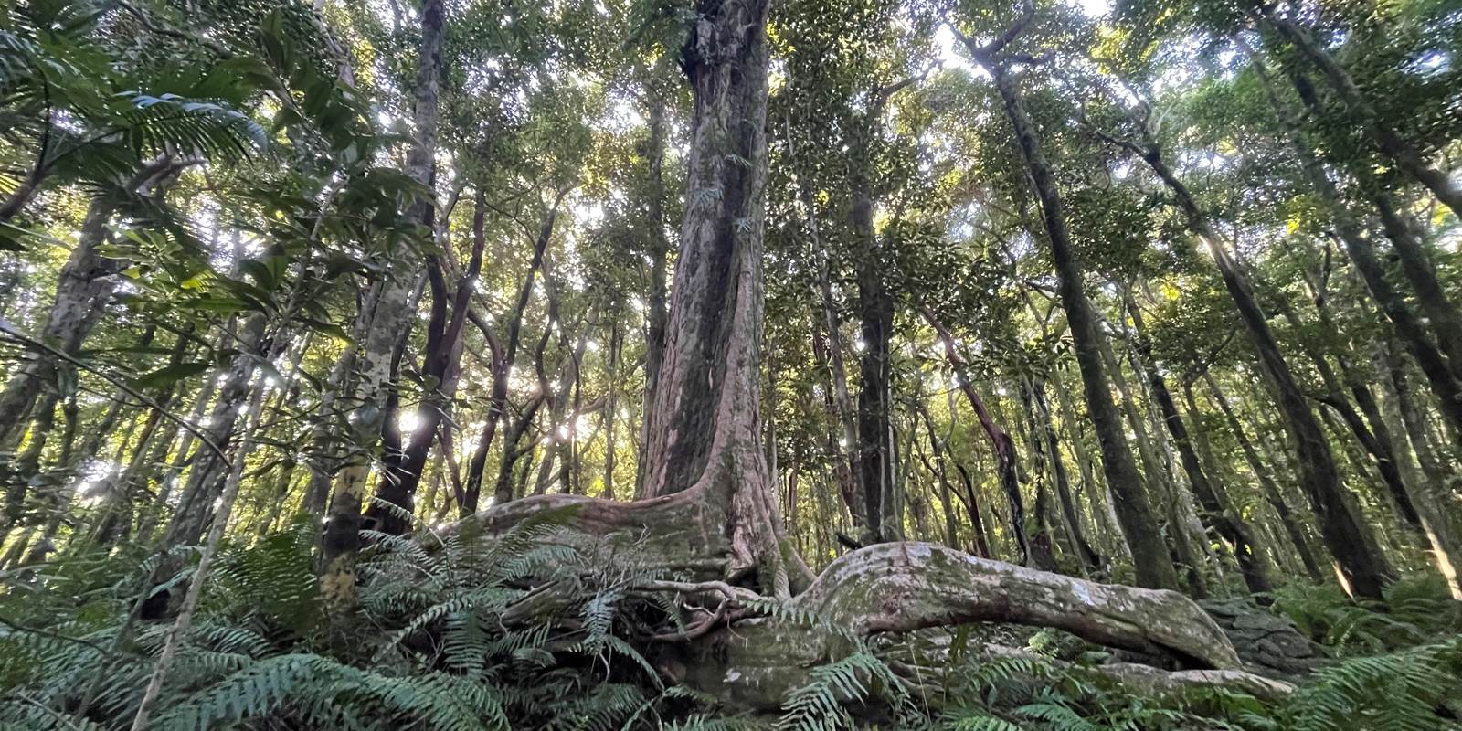 Petite marche à la forêt Marle Longue