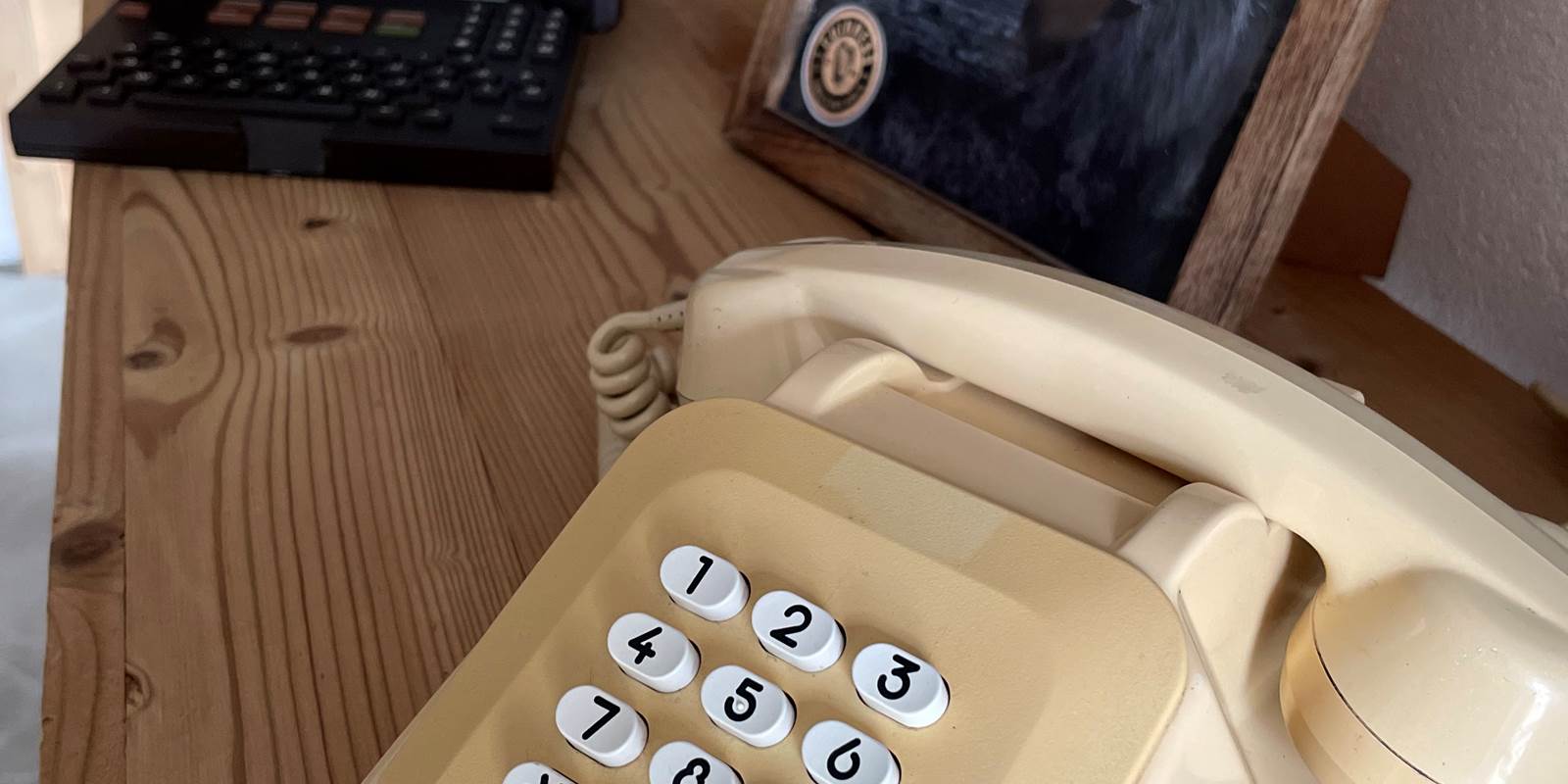 Le rockin70_Gîte Mountain_Déconnexion nature Vosges_Séjour nature Gérardmer_Gîte 8 personnes Vosges_Chalet forêt (19)