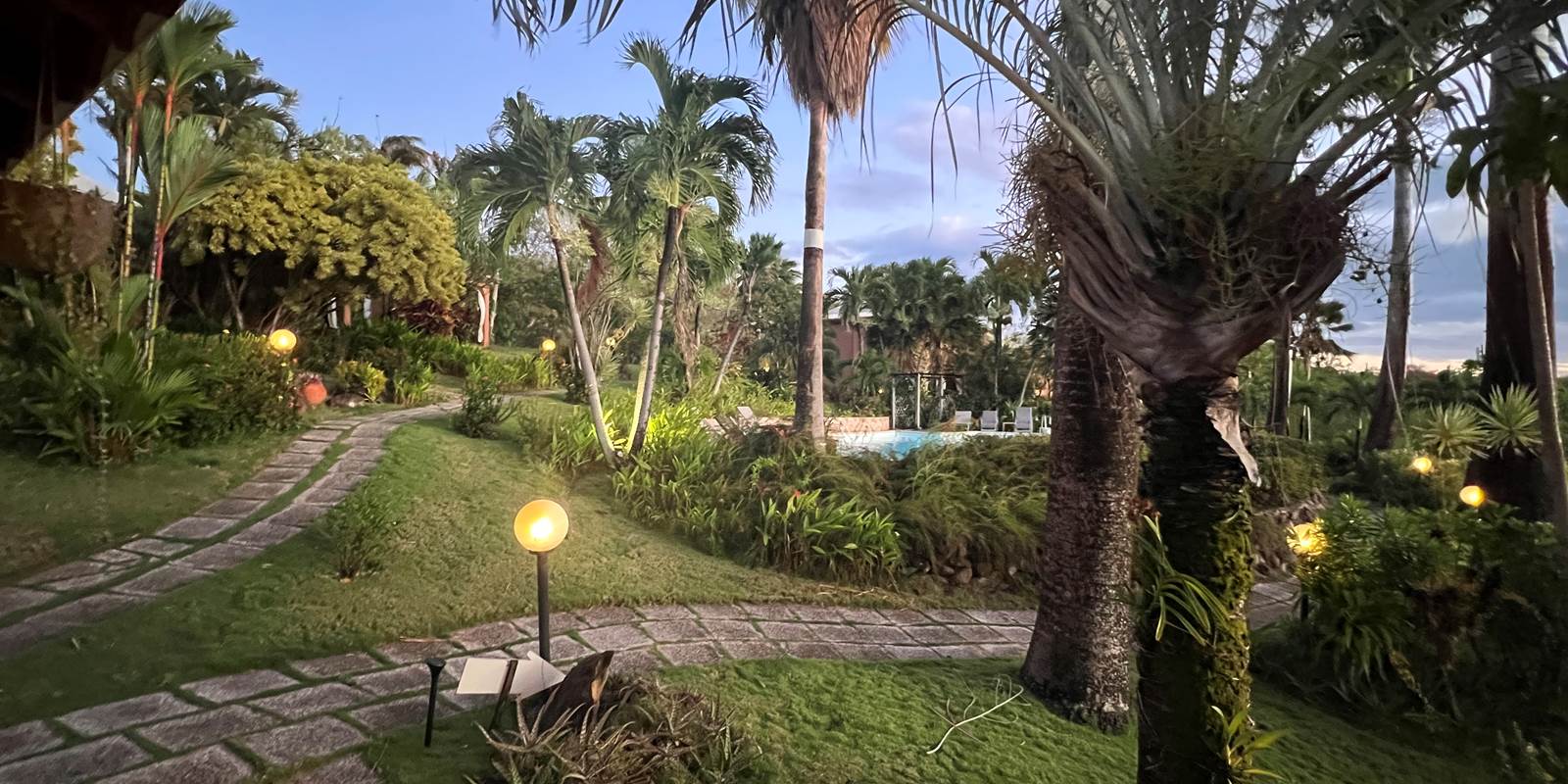 Jardin de la reception