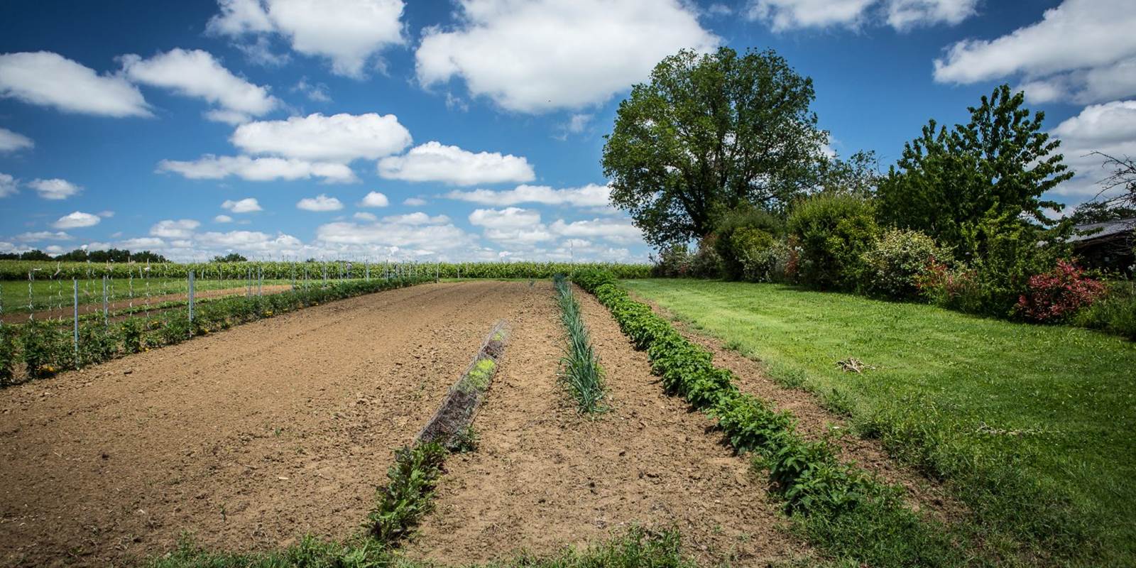 gite_rimajou_le_potager_5-1536x1024