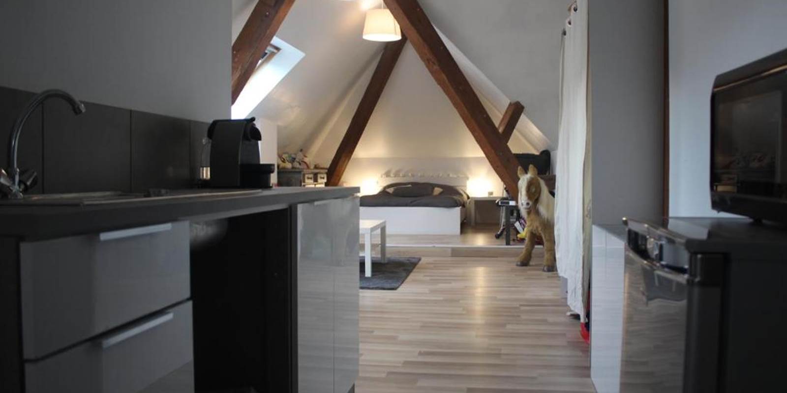 CHAMBRES-GUEBWILLER-Studio-4-Personnes-Cuisine