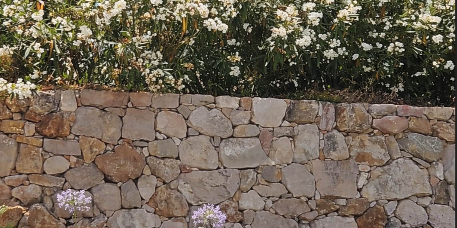 villa-maluan-location-vacances-luxe-cote-azur