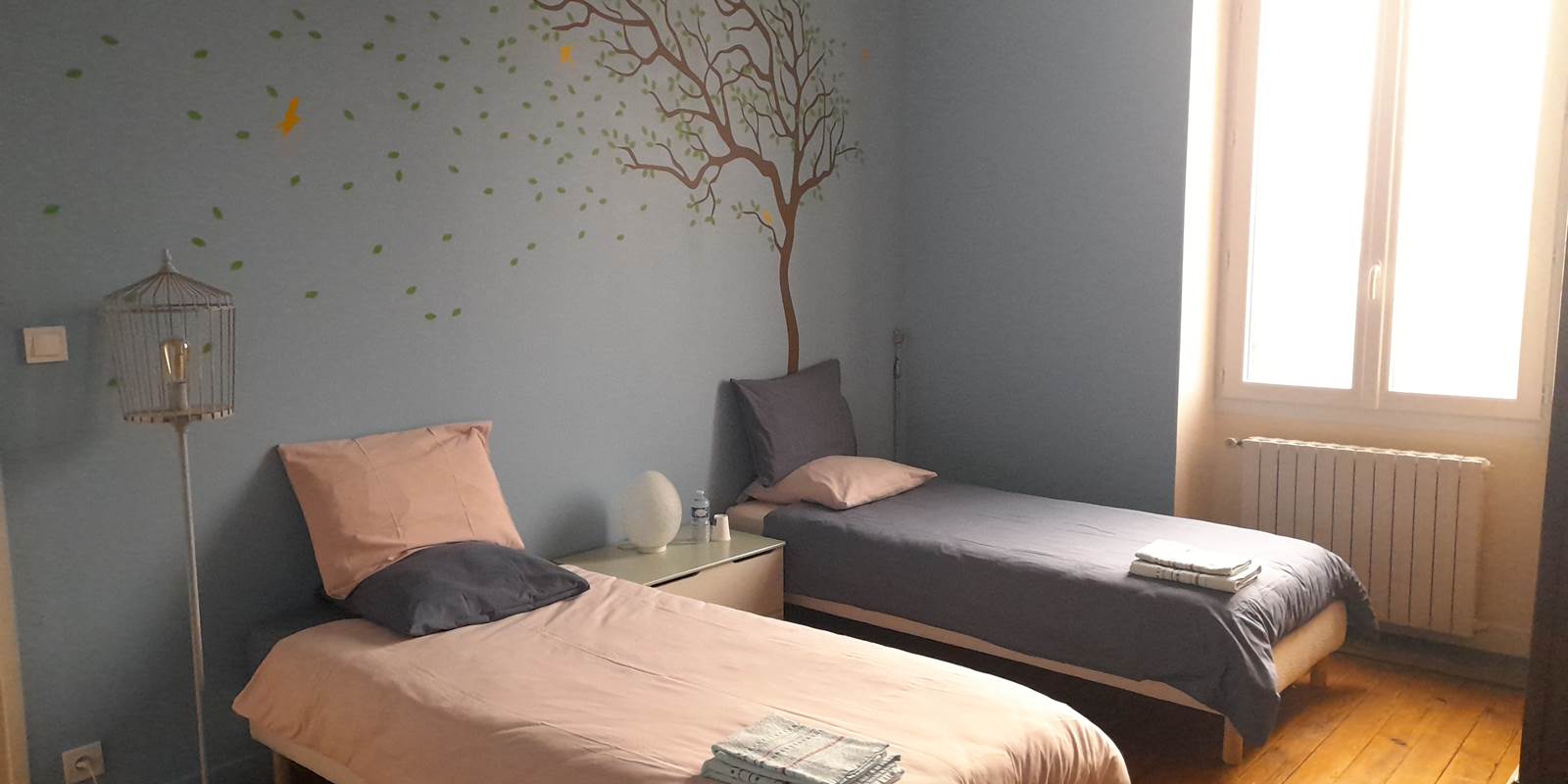 1000011536_7d2766f02430ceff7718ccff6b00a5e7-28_12_2024 11_56_58