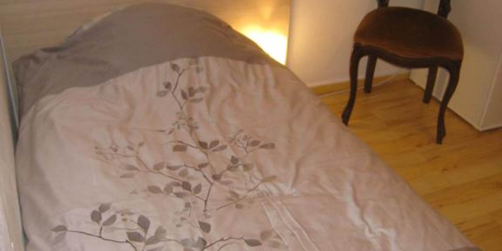 CHAMBRES-GUEBWILLER-Chambre-Simples-avec-Salle-de-Bains-Privative-1-Personne-Lit