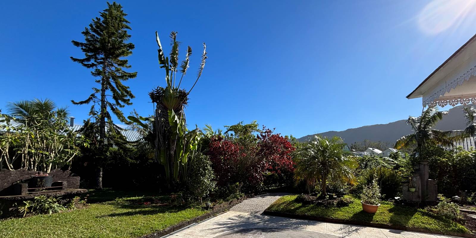 jardin.