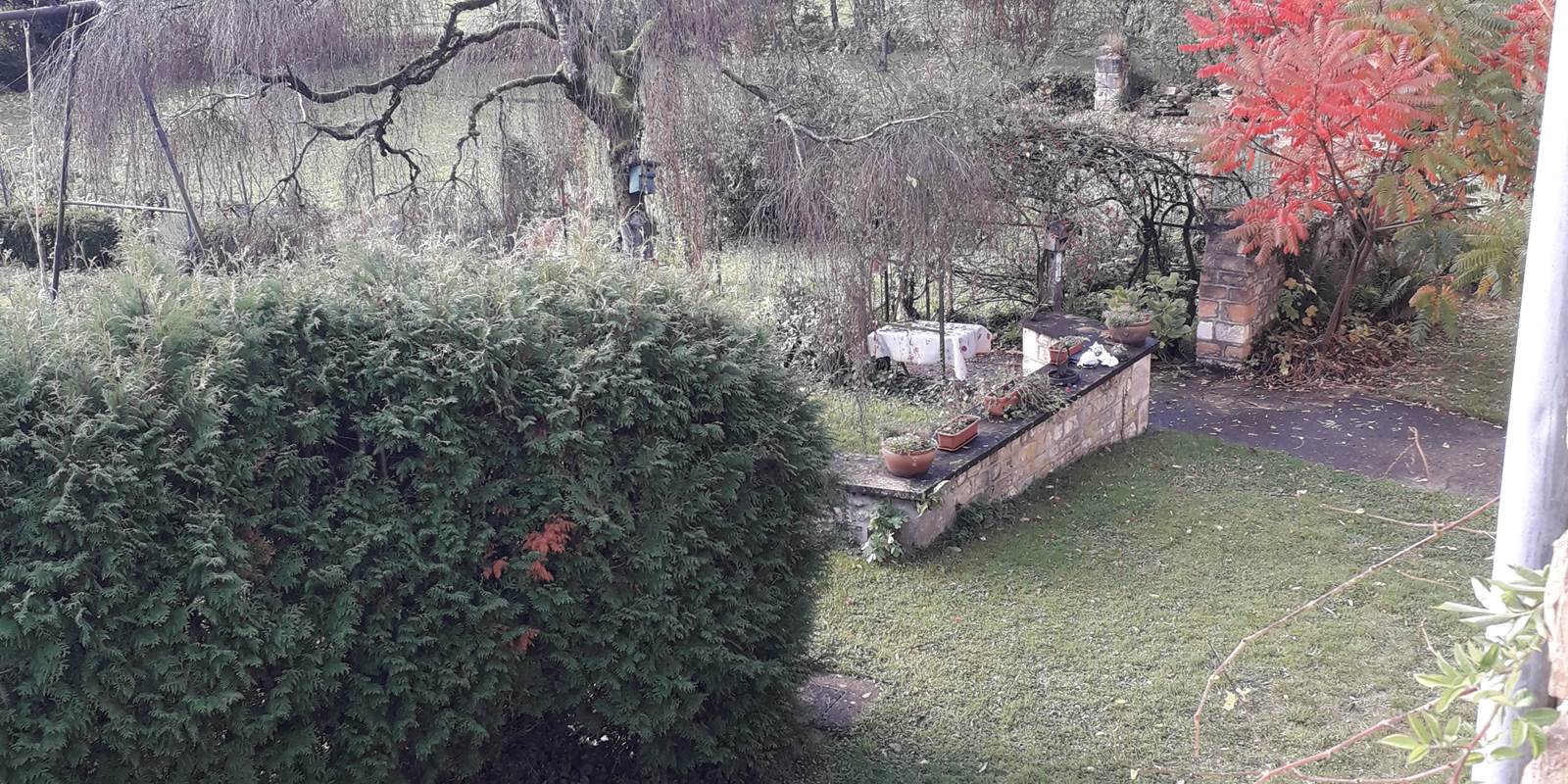 Jardin de la propriété