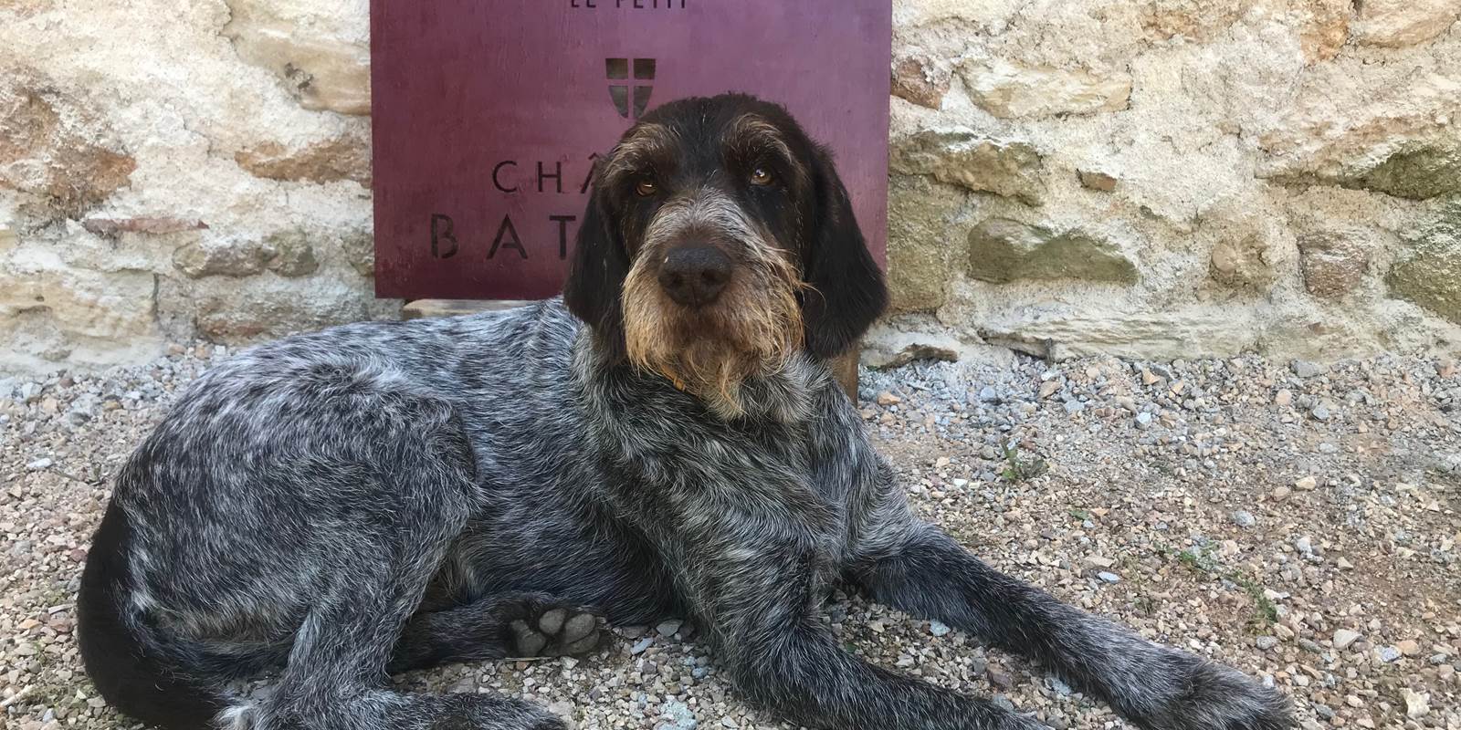 Maître des lieux, toujours poli et bienveillant