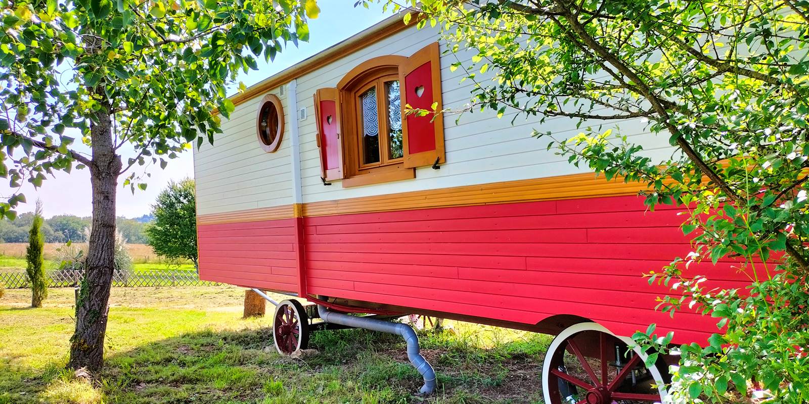 IMG20240604110438[1]