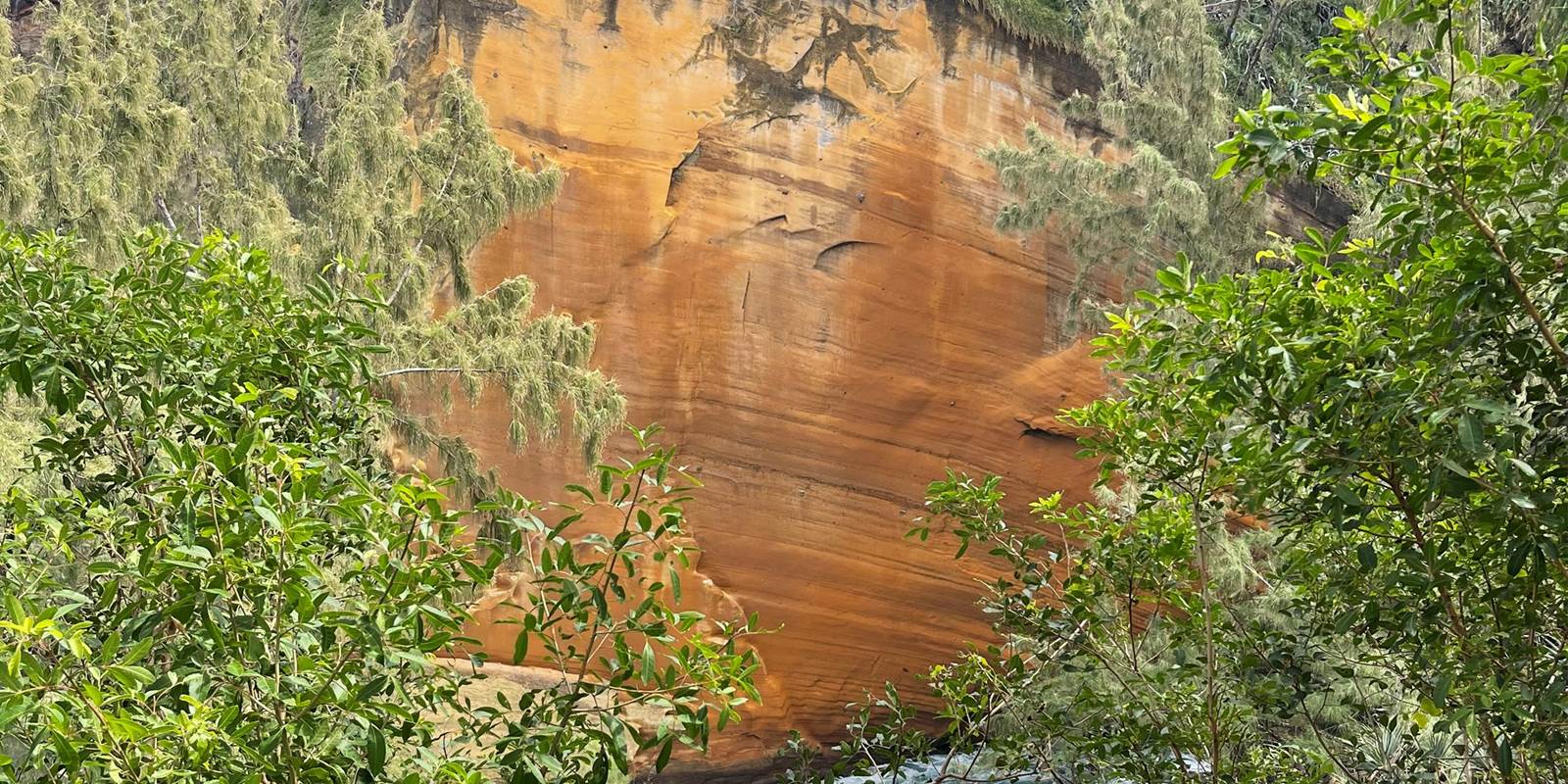 chambre-proche-cap-jaune