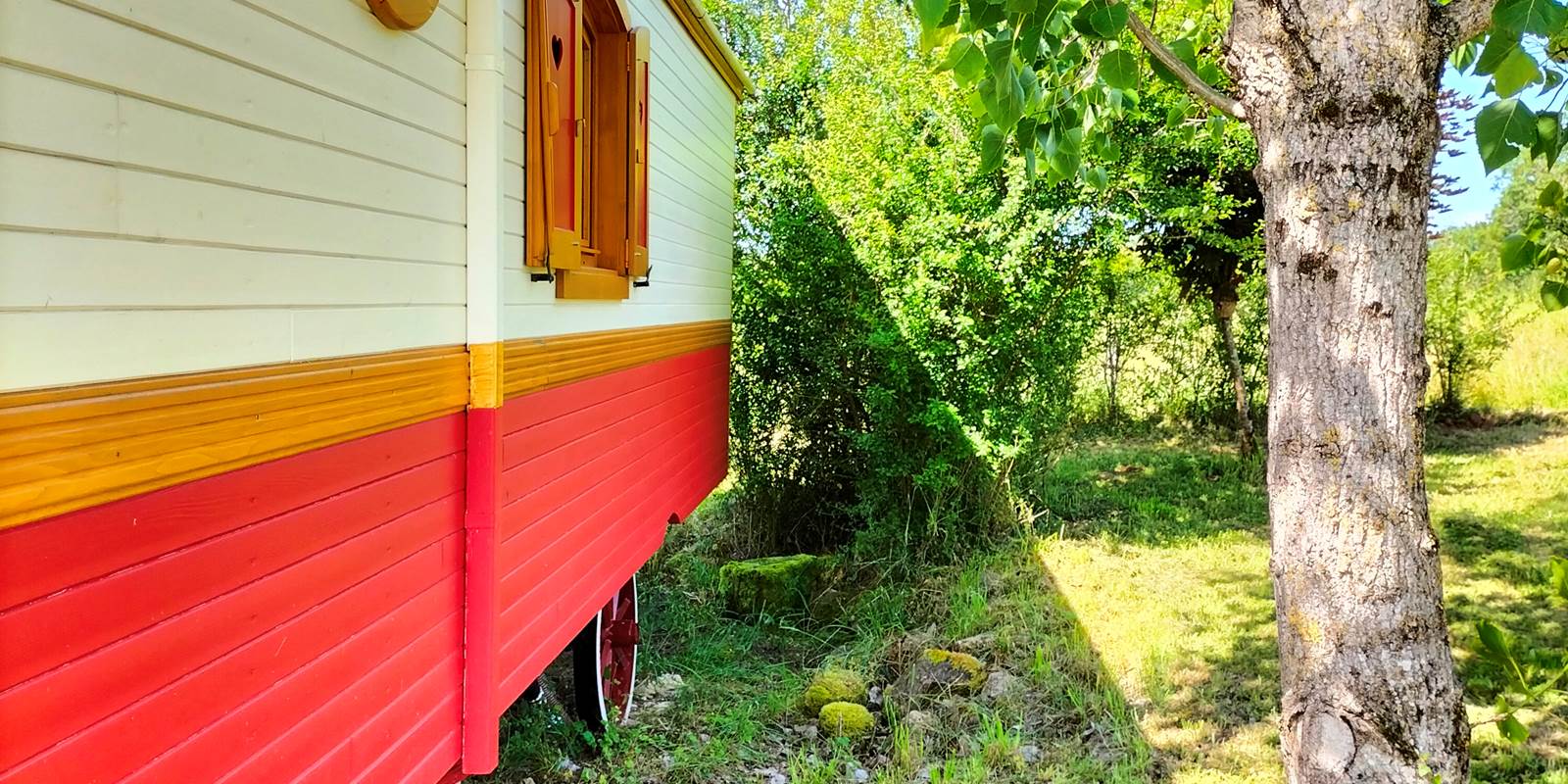 IMG20240604110619[1]