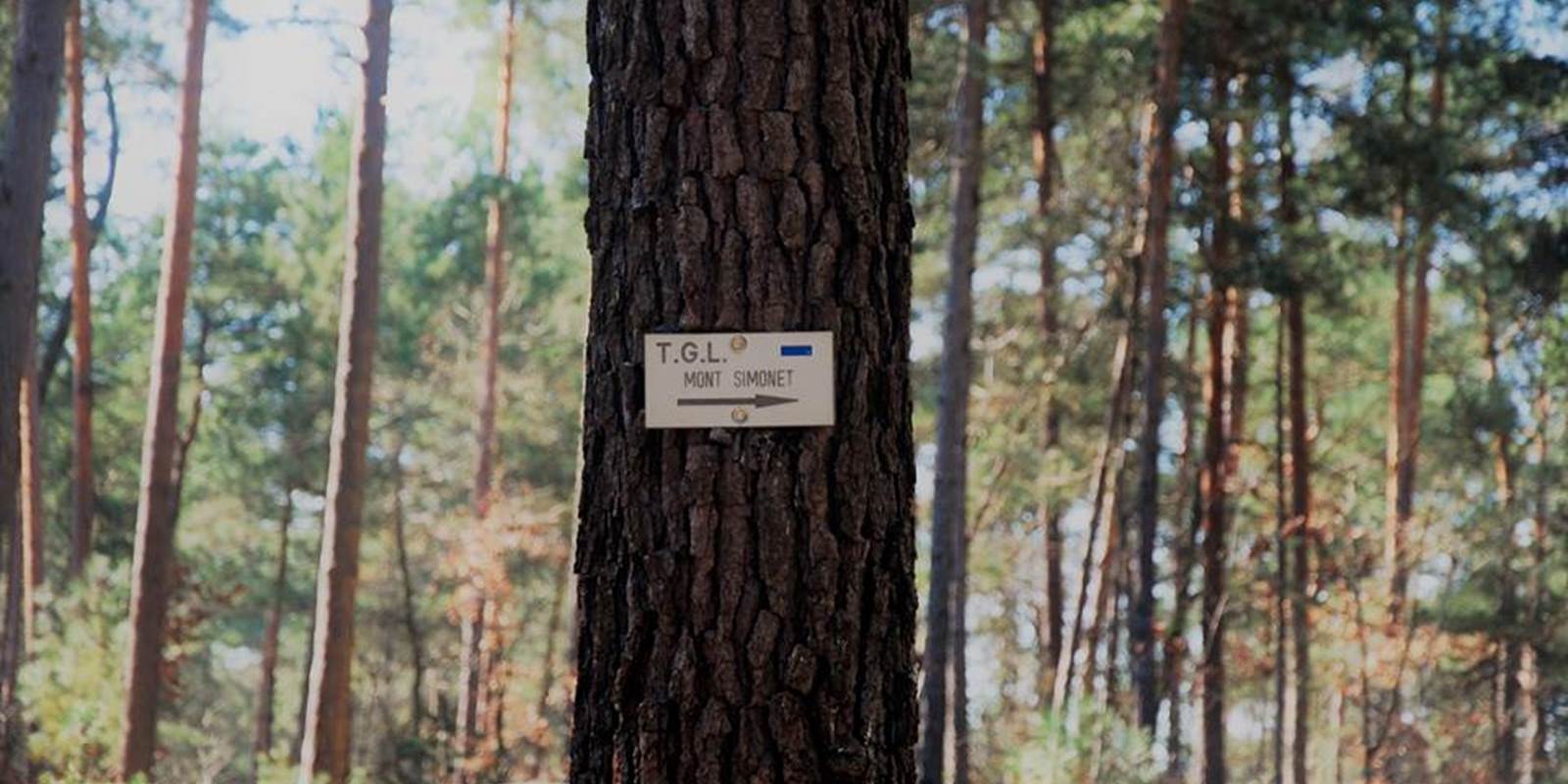 Les nombreuses randonnées tout autour