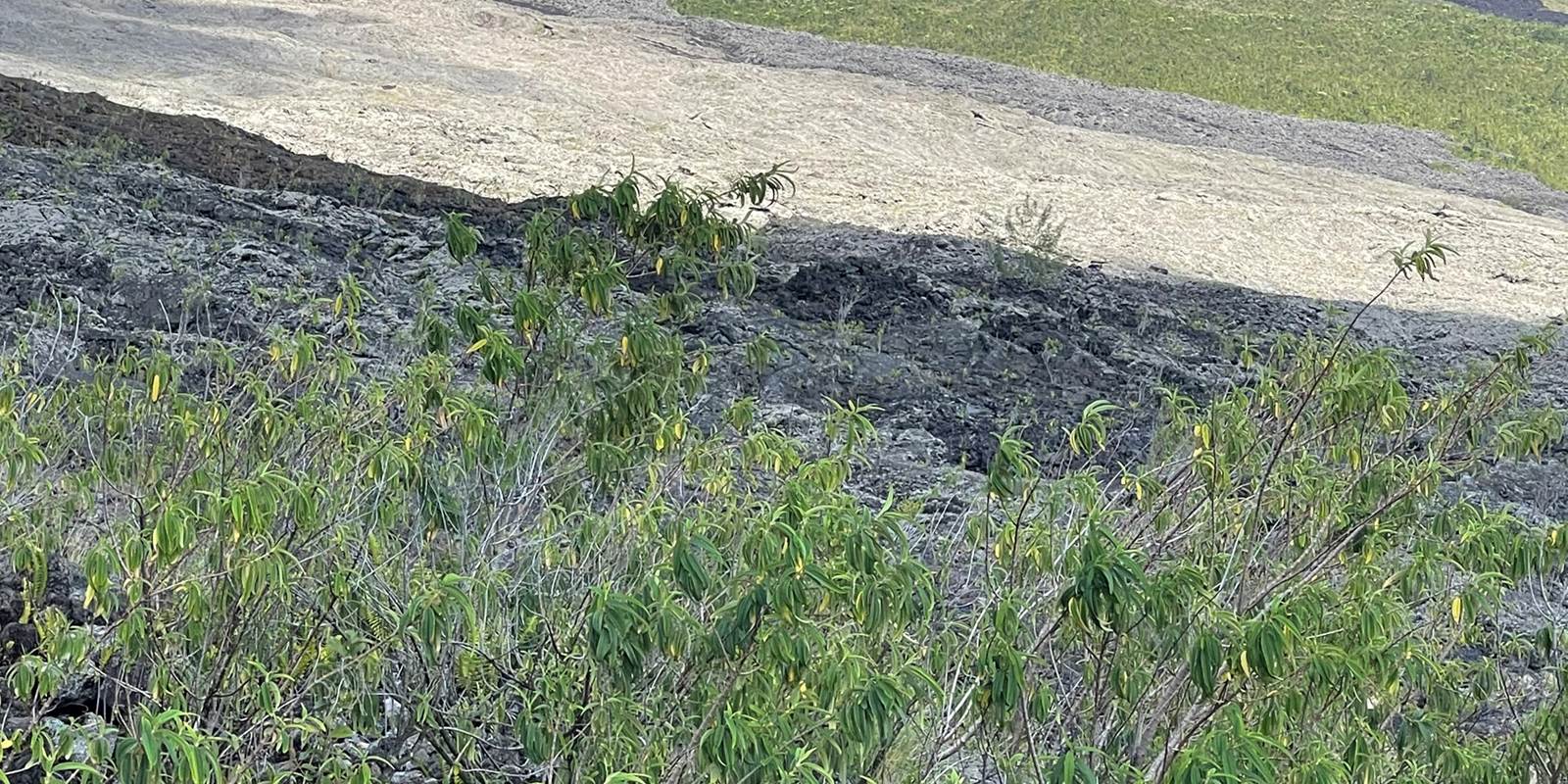 grande-anse-cap-méchant