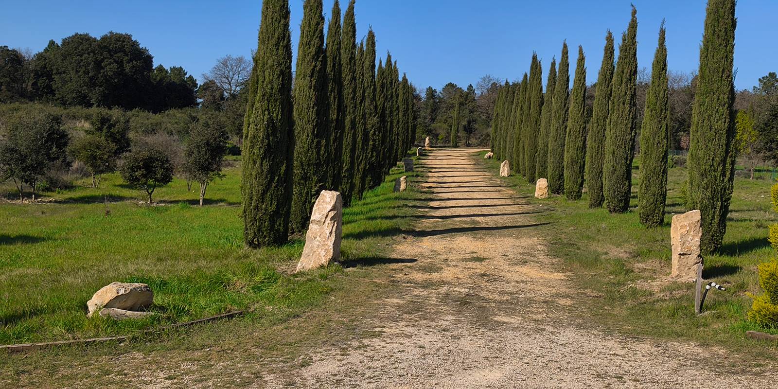 Le Domaine de Jolio - Allée provençale