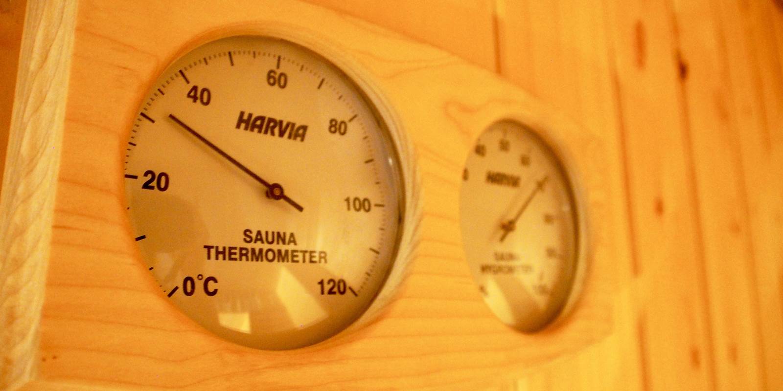 THERMOMETRE SAUNA AU BOIS