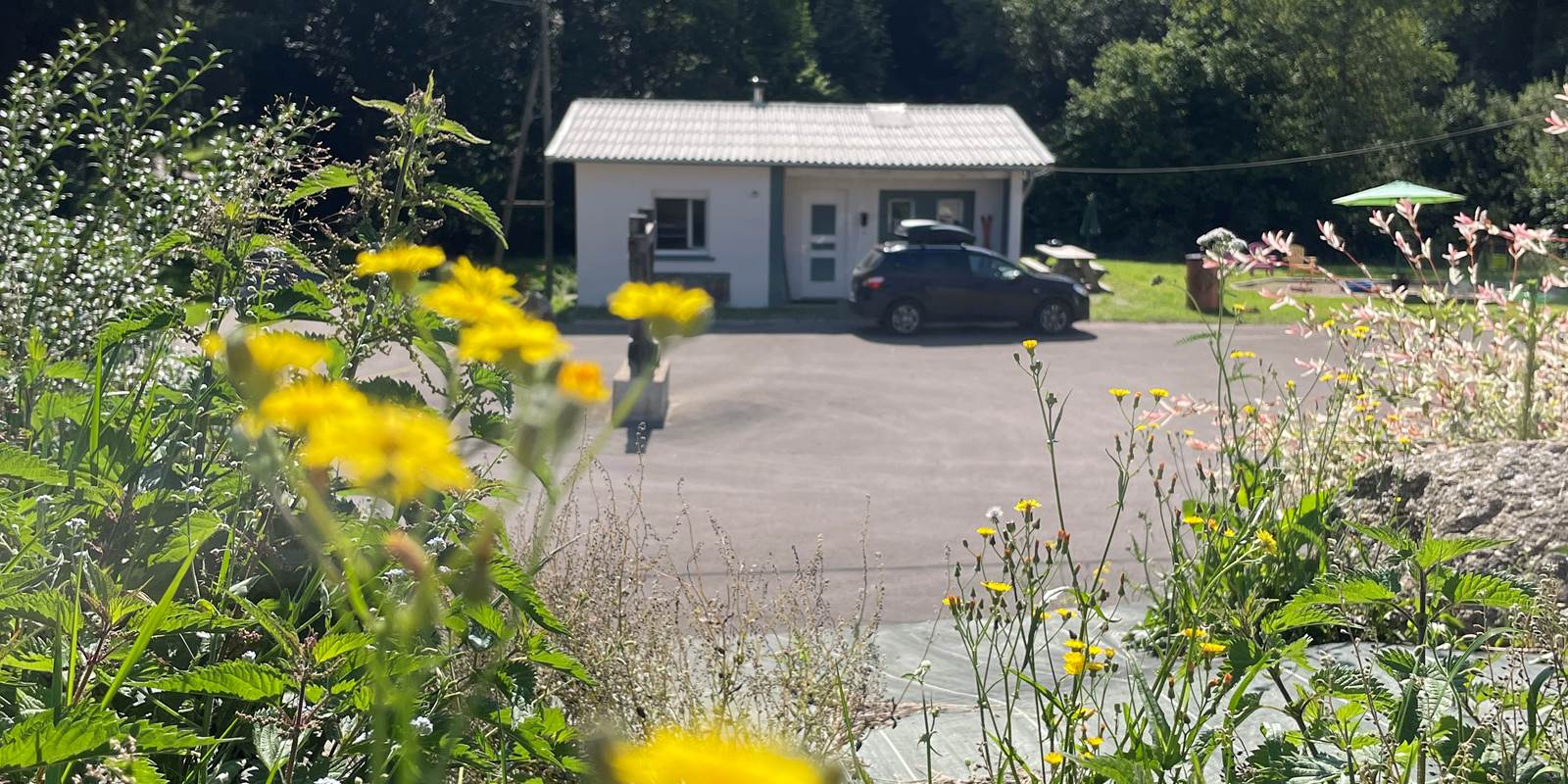 Le rockin70_Gîte Mountain_Déconnexion nature Vosges_Séjour nature Gérardmer_Gîte 8 personnes Vosges_Chalet forêt (40)