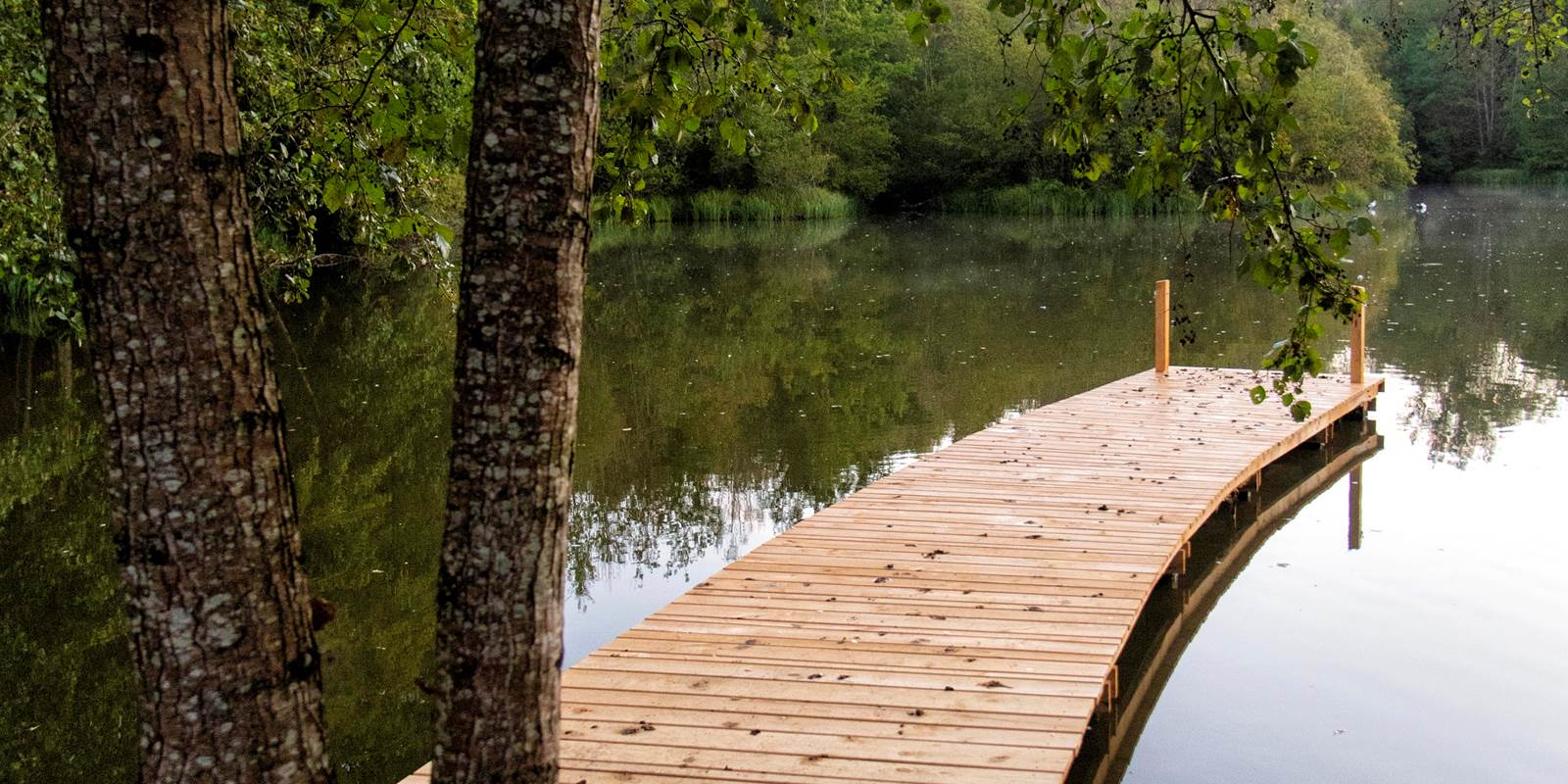 Le Grand Etang et son ponton