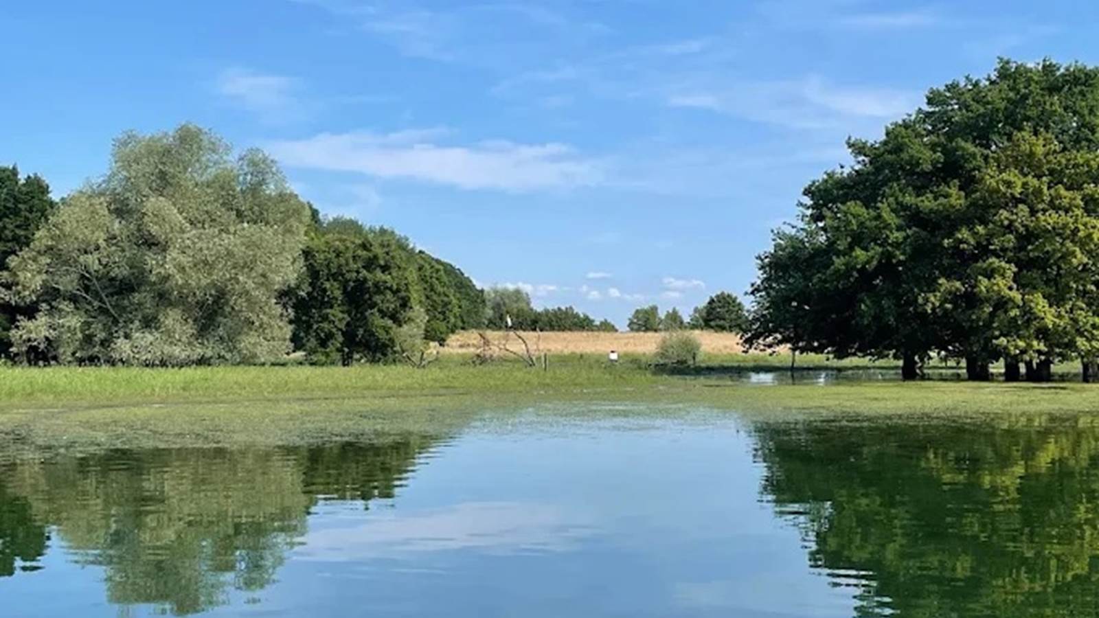 ile au moutons lac du der