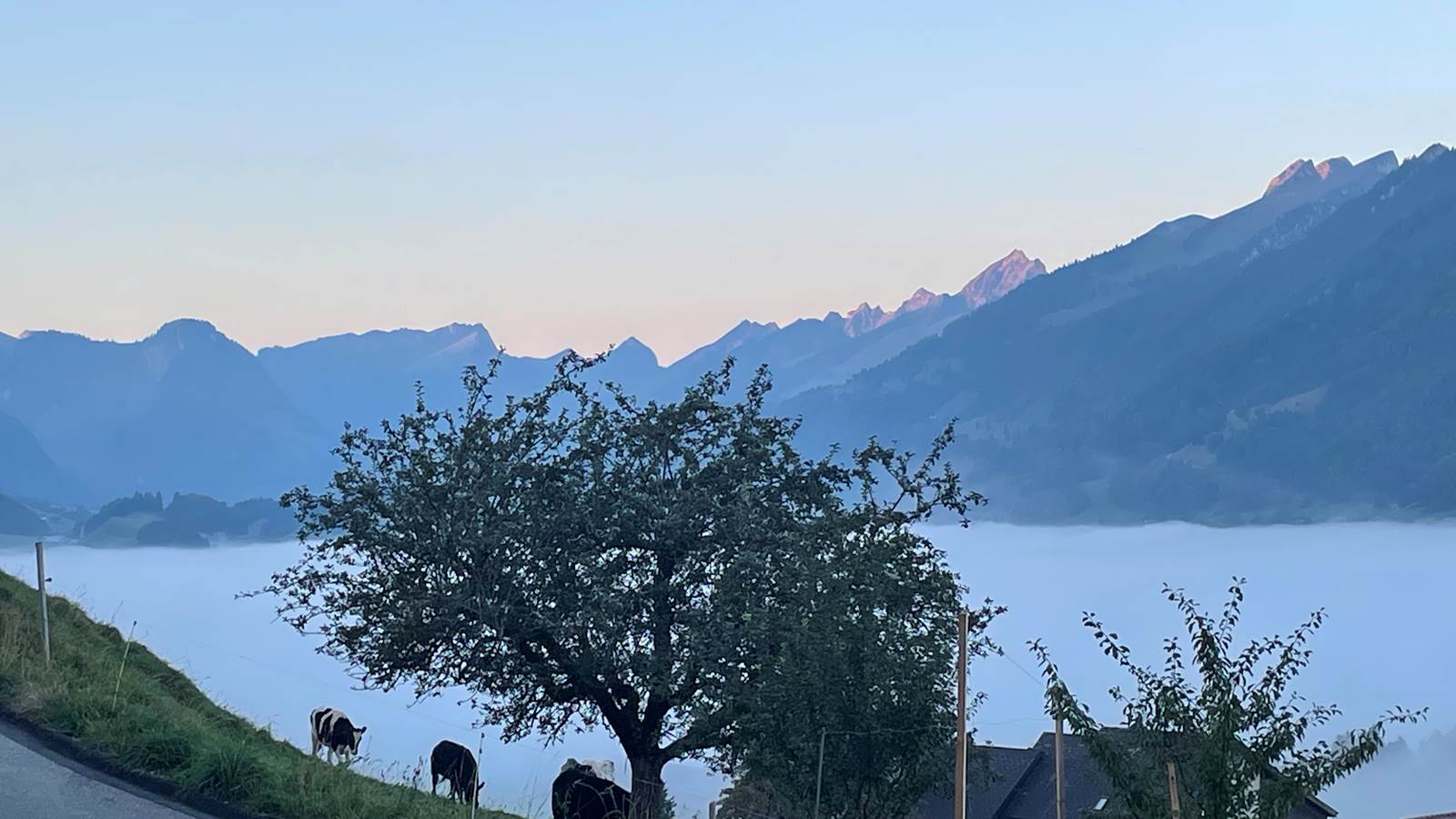 Matin d'automne au dessus du brouillard
