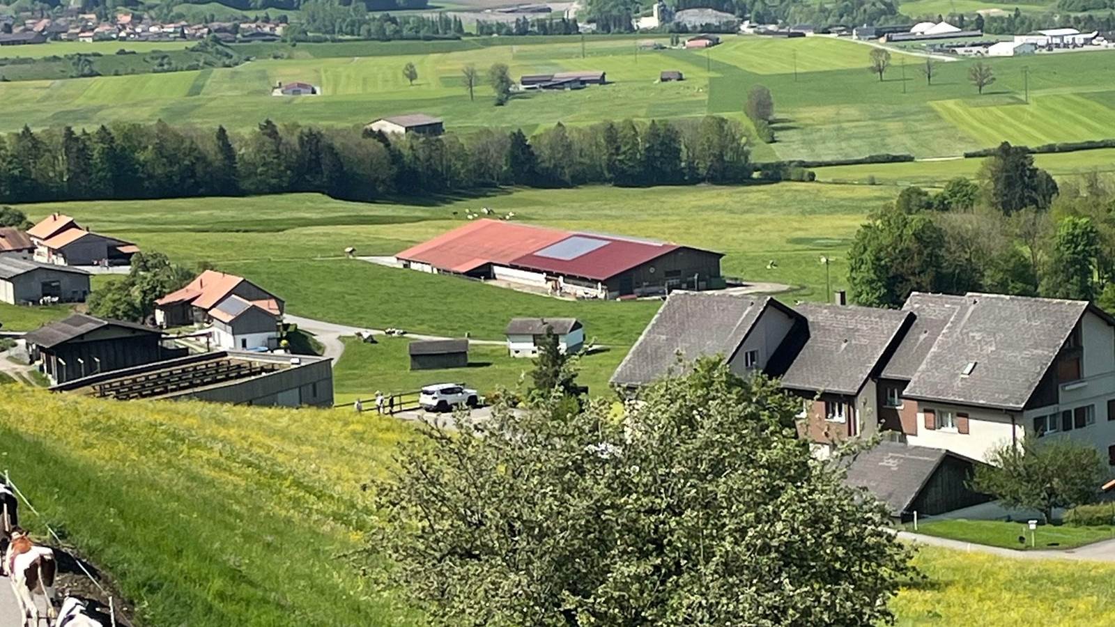 Vue sur la Poya depuis la maison