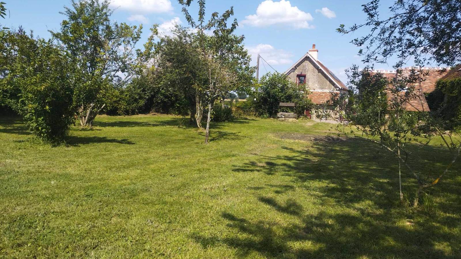 Parc arboré - Gîte de l'Espinasse