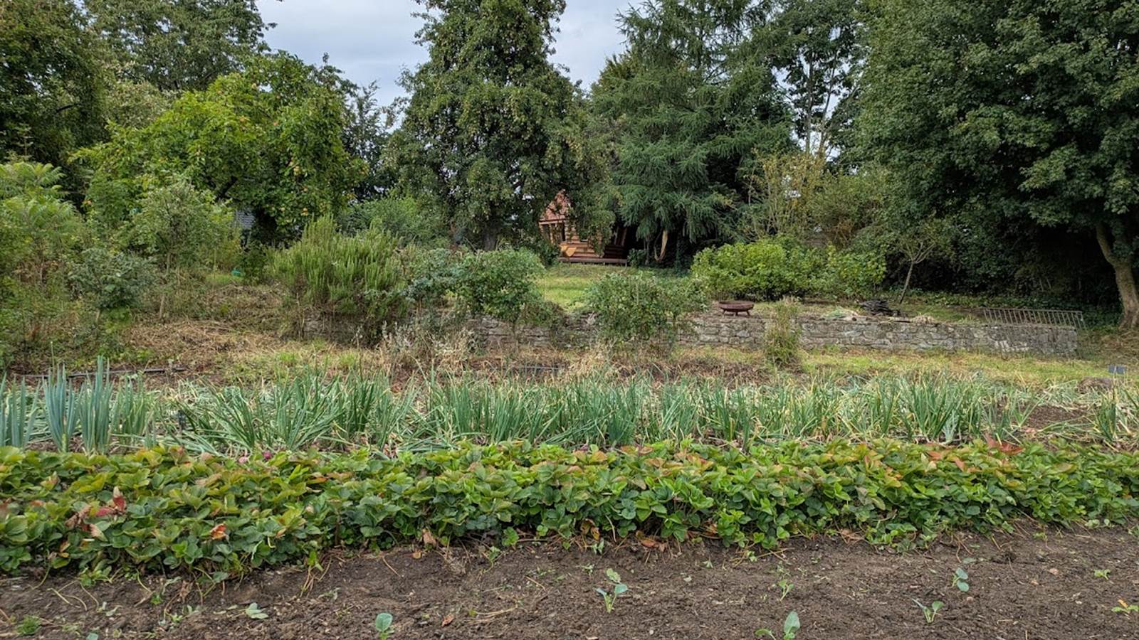 verdure et calme