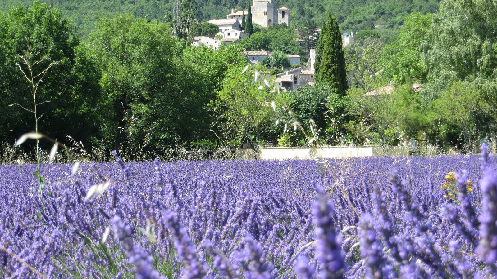 Le Poët Laval