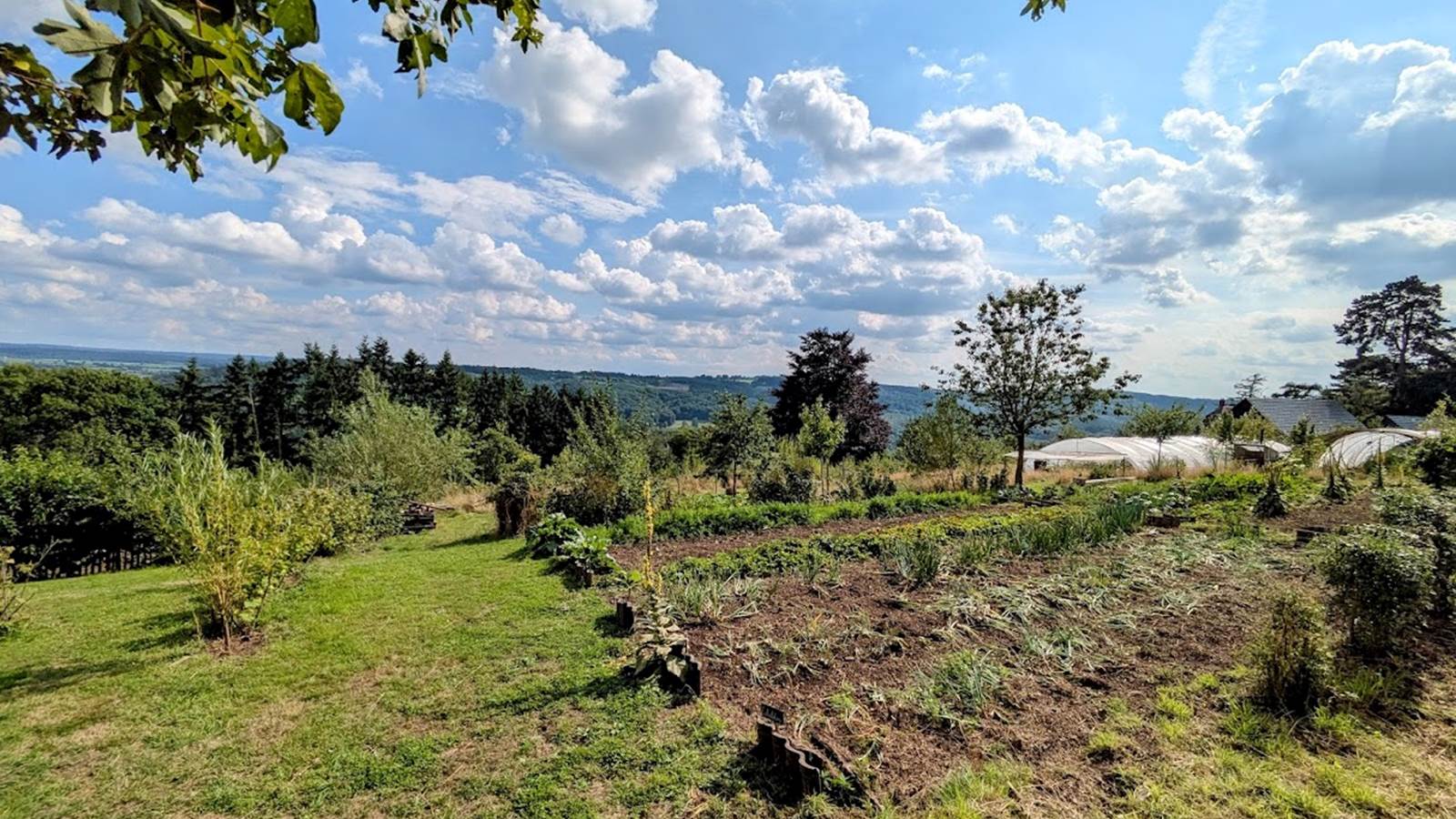 vue sur la nature