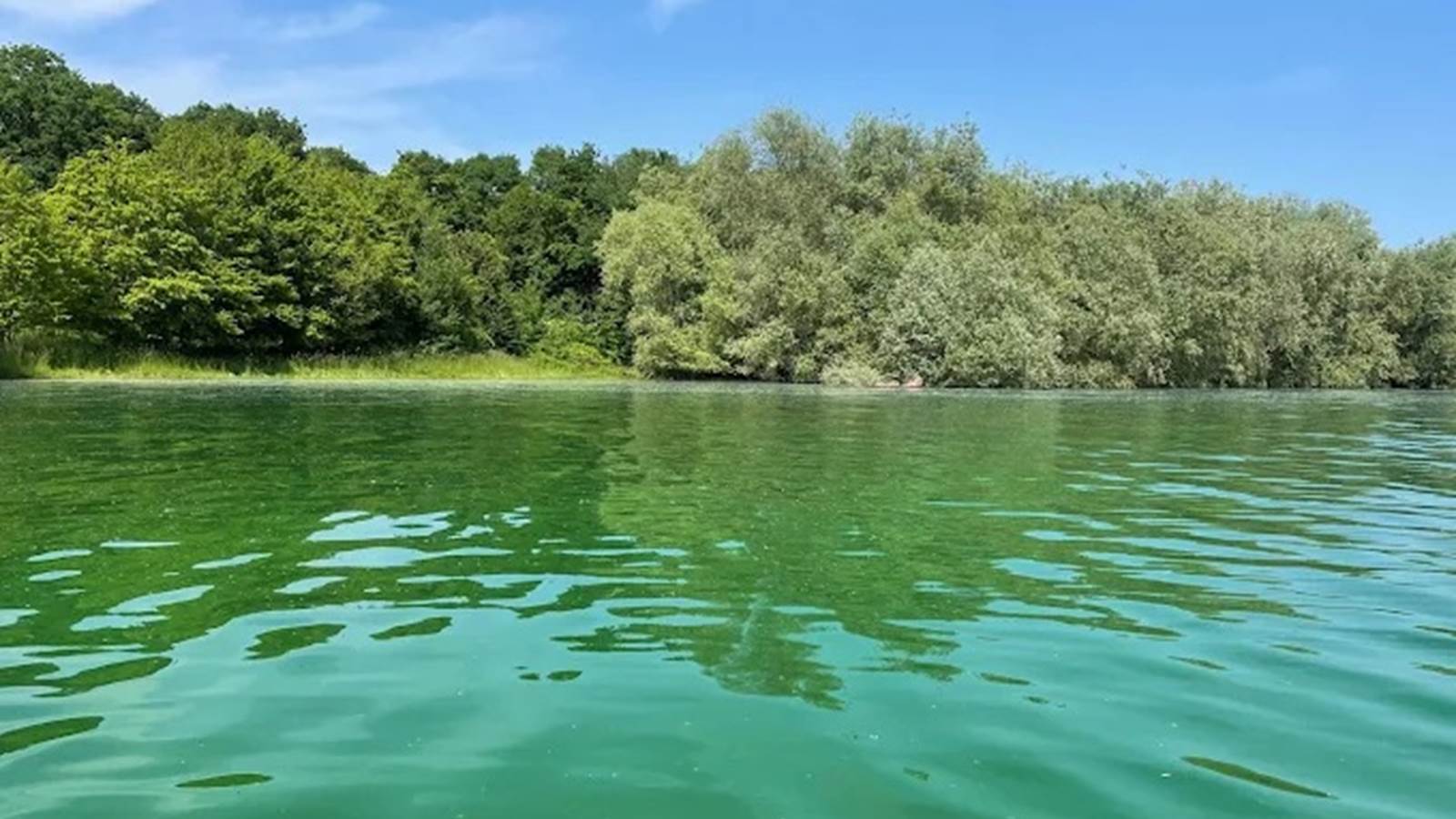vue sur le lac du der
