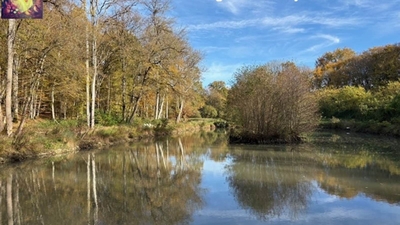 Etang a` l'automne