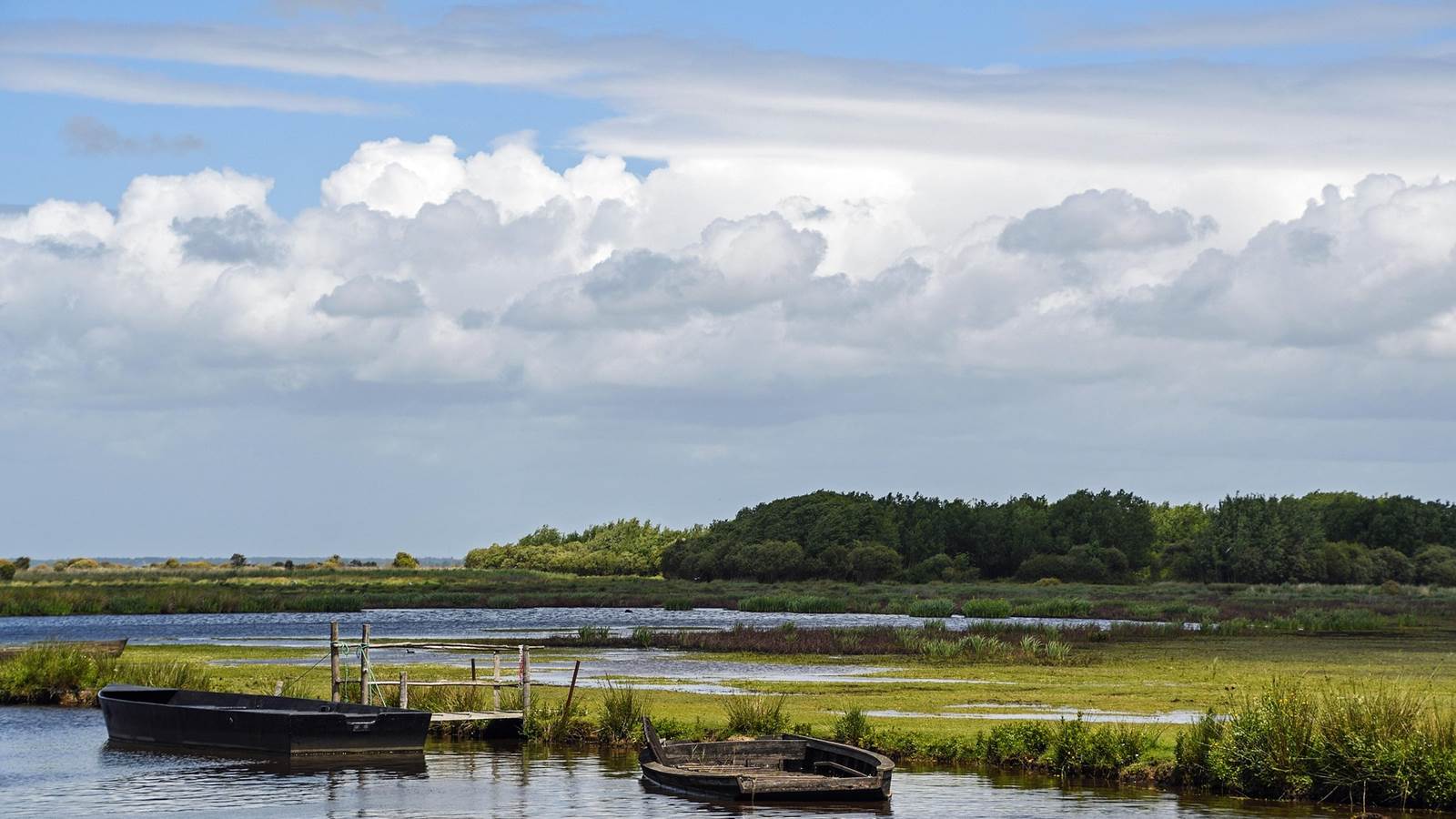 Les marais, la Brière