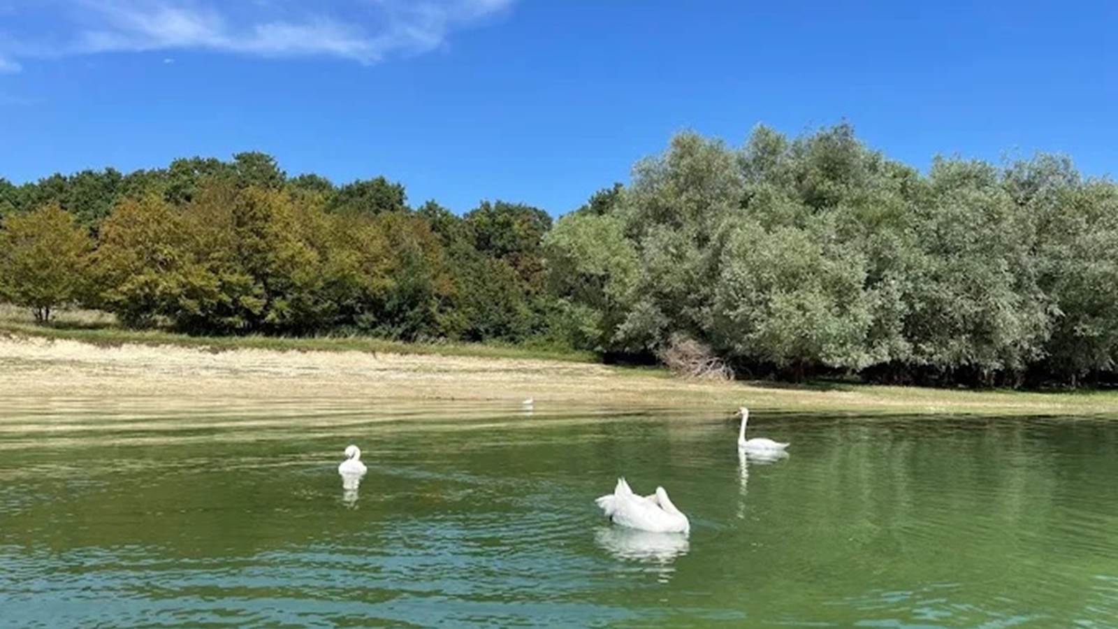 ile paisin au milieu du plan d'eau ,rencontre avec les signes
