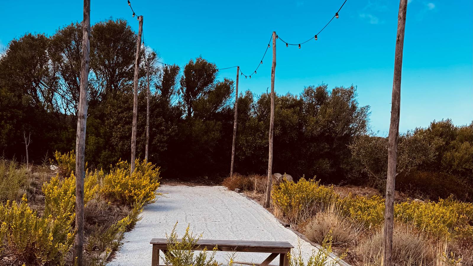 domaine chioso alla chiesa - petanque