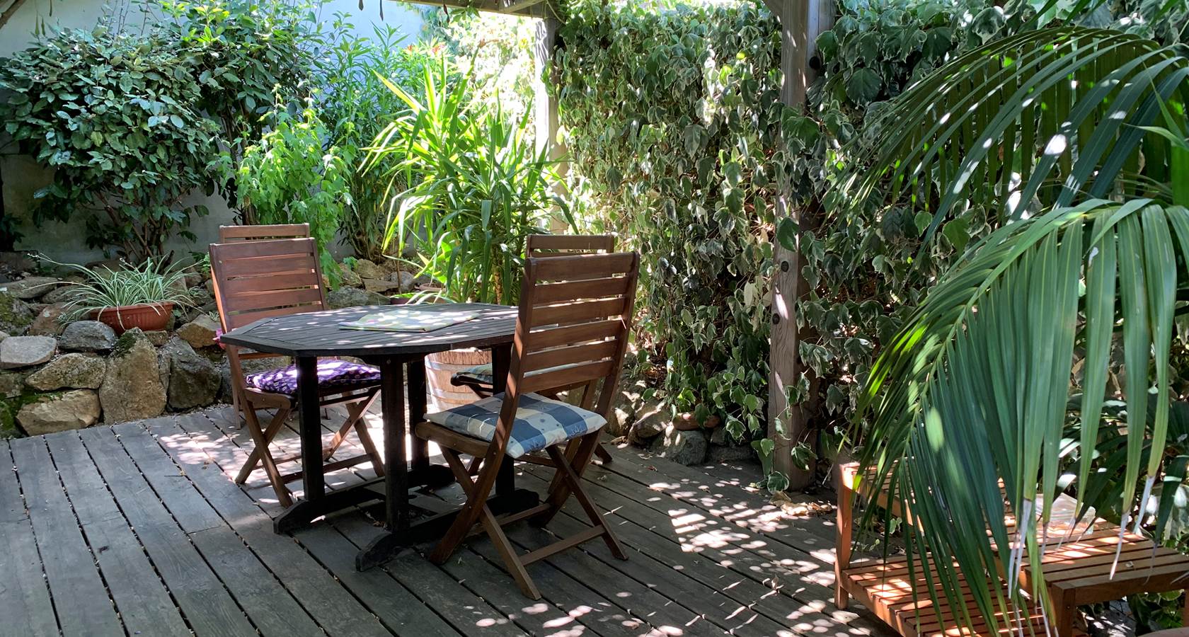 La terrasse est ombragée par une grande glycine
