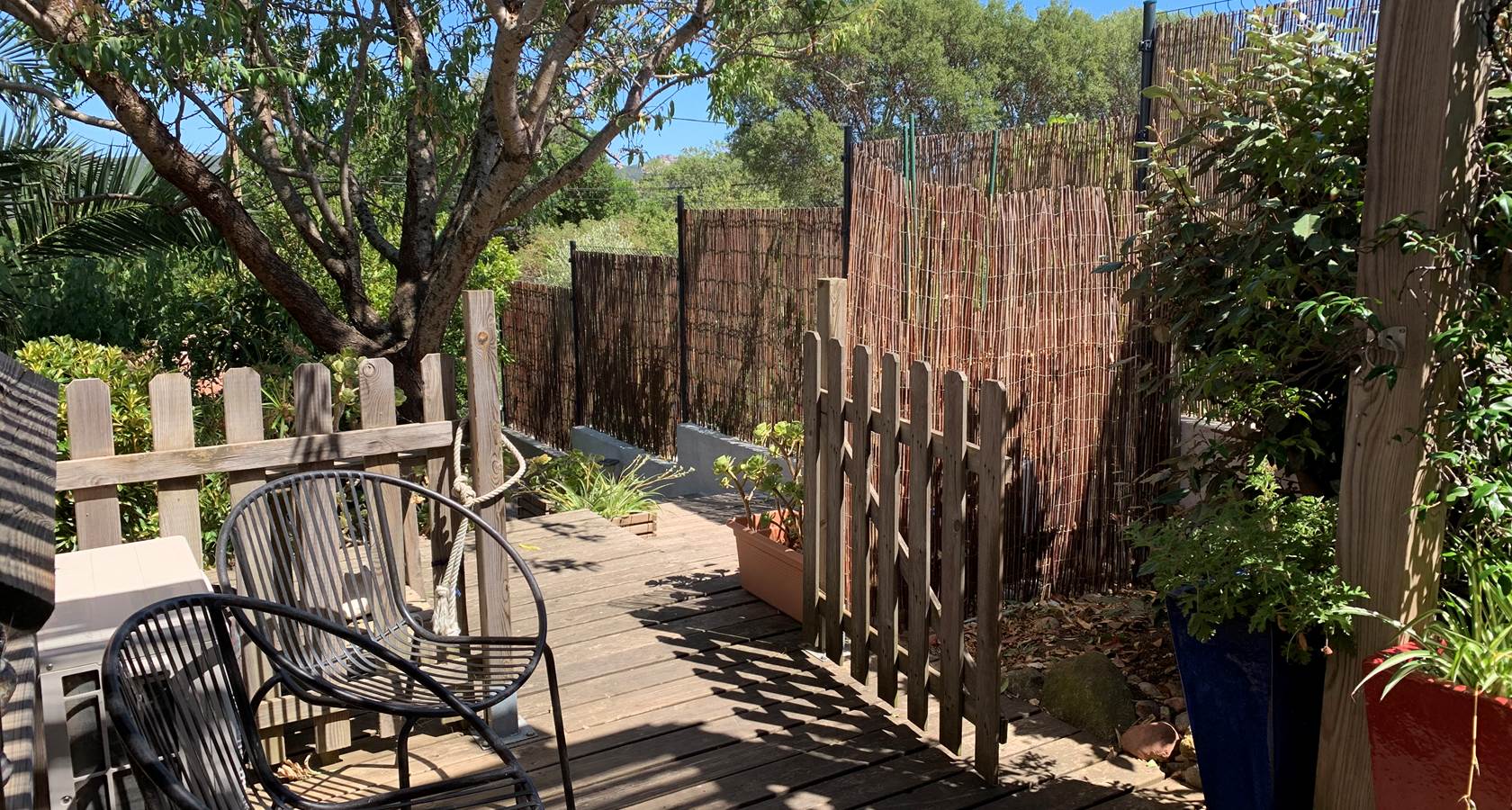 La petite terrasse s'ouvre sur le vieil amandier