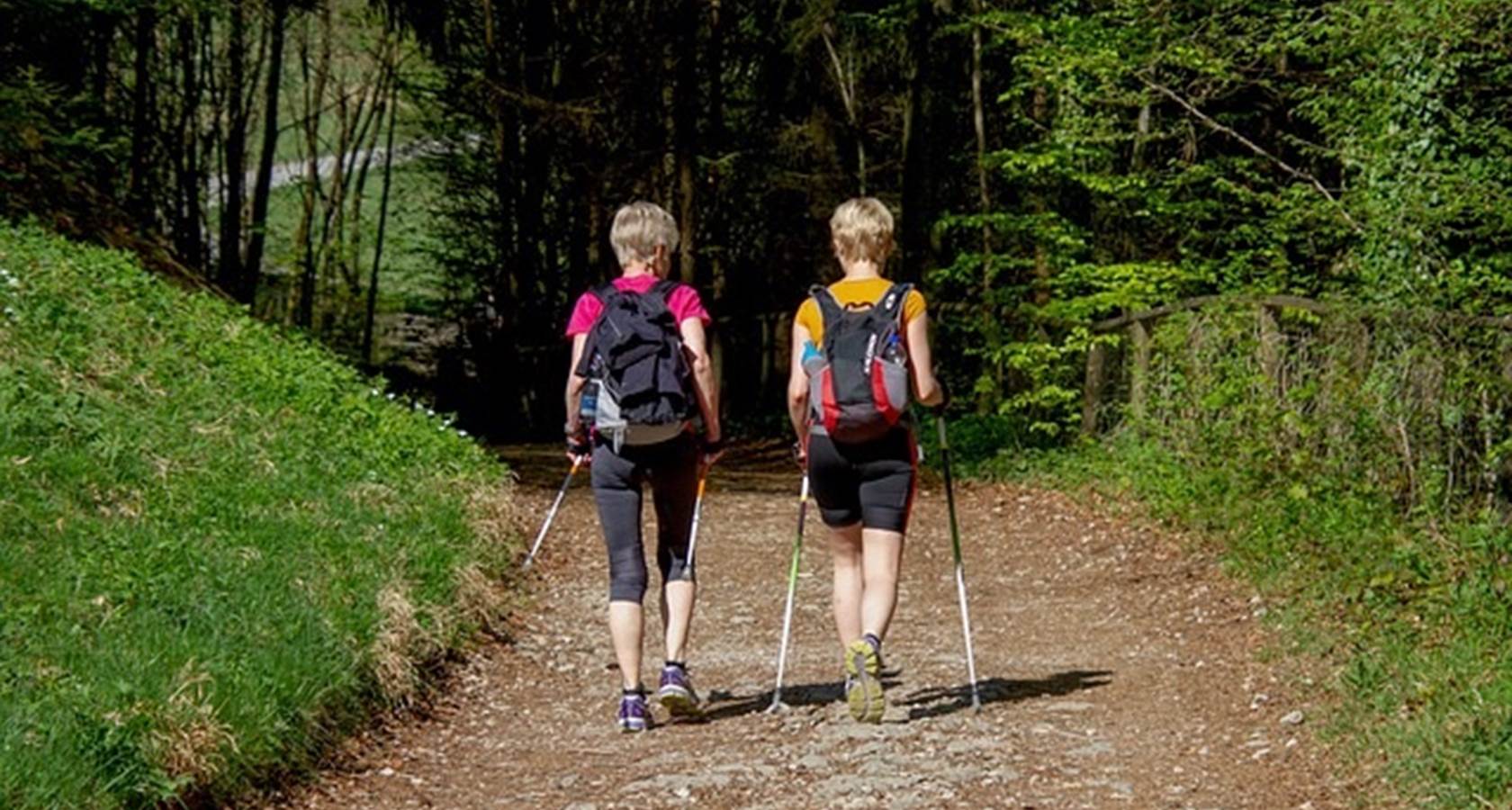 domaine de pelouaille_ saint_jacques_compostelle