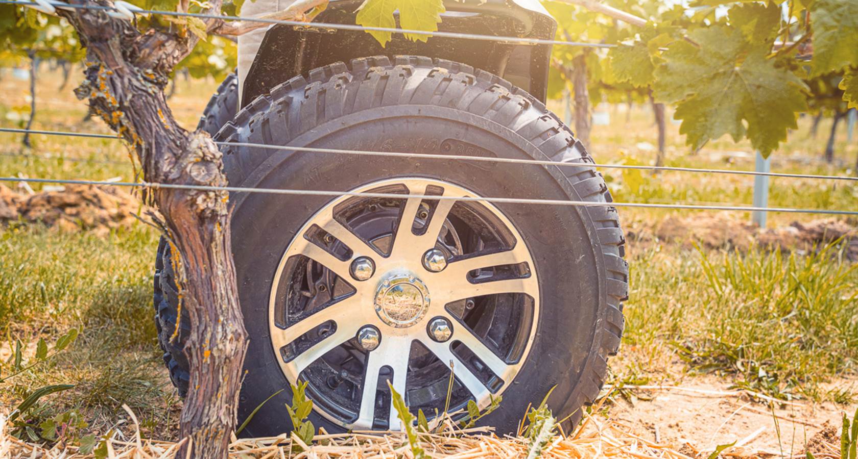 Balade classique en gyropode ou trottinette électrique dans le vignoble