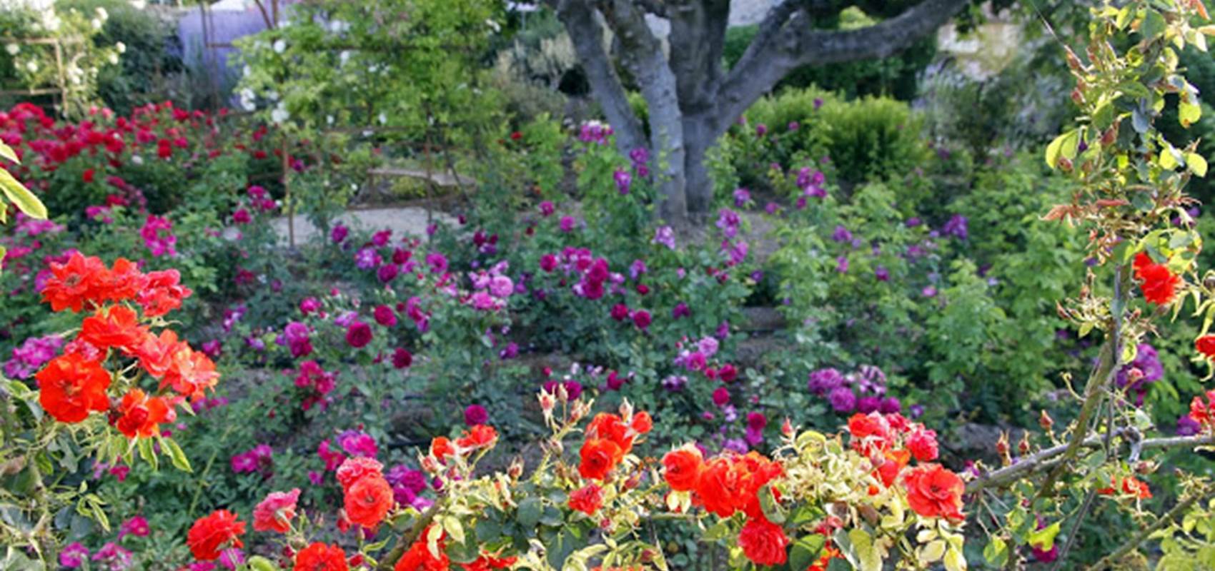 FR1406-1-013L00000 Mas des Figues