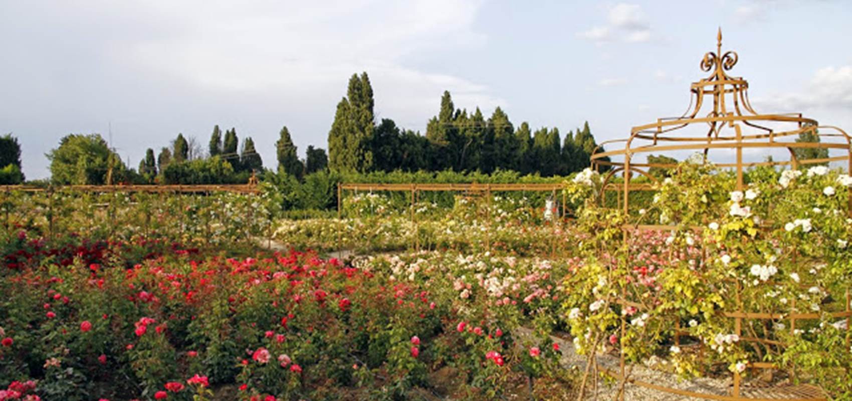 FR1406-1-004L00000 Mas des Figues