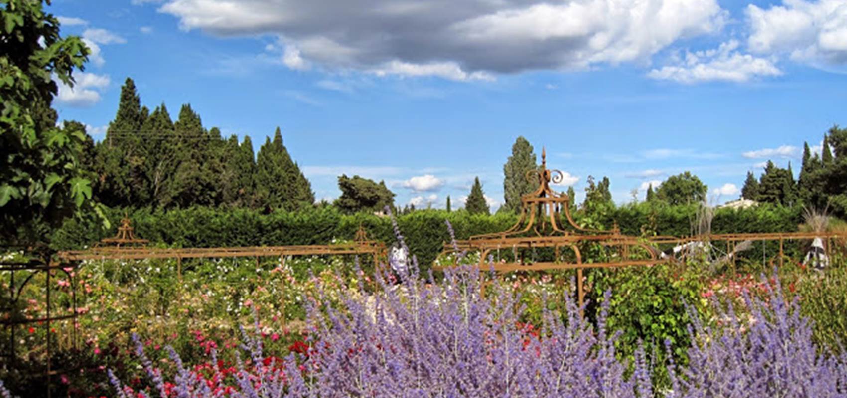 FR1406-3-046L00000 Mas des Figues