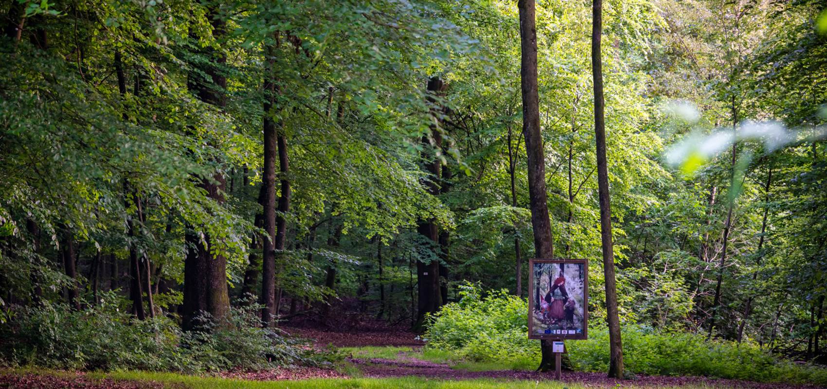 PBVW - Rita Photographie - Village de Redu