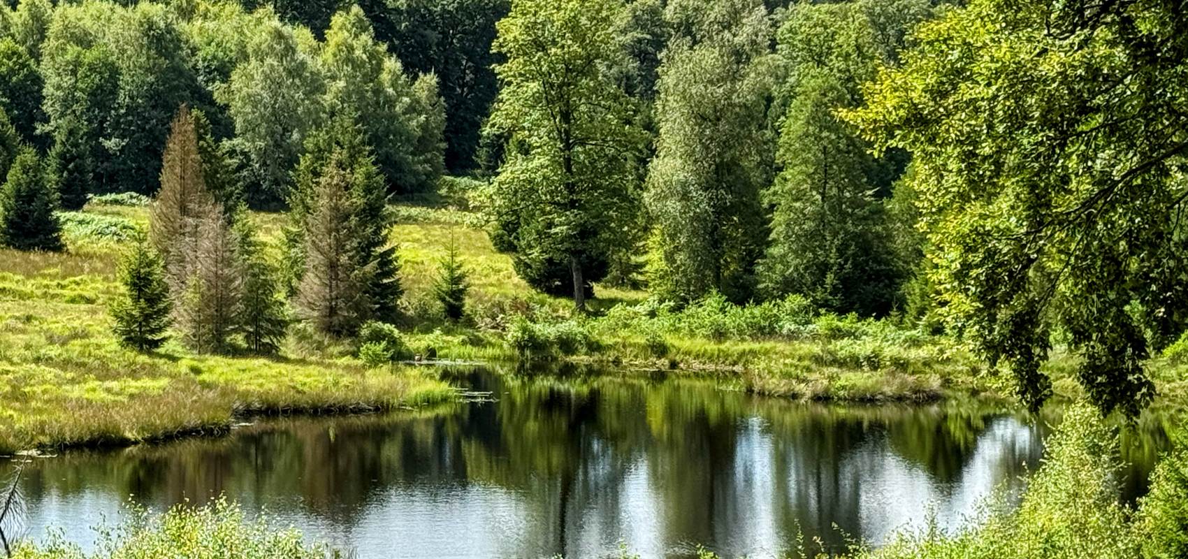 L'étang de la Bilaude