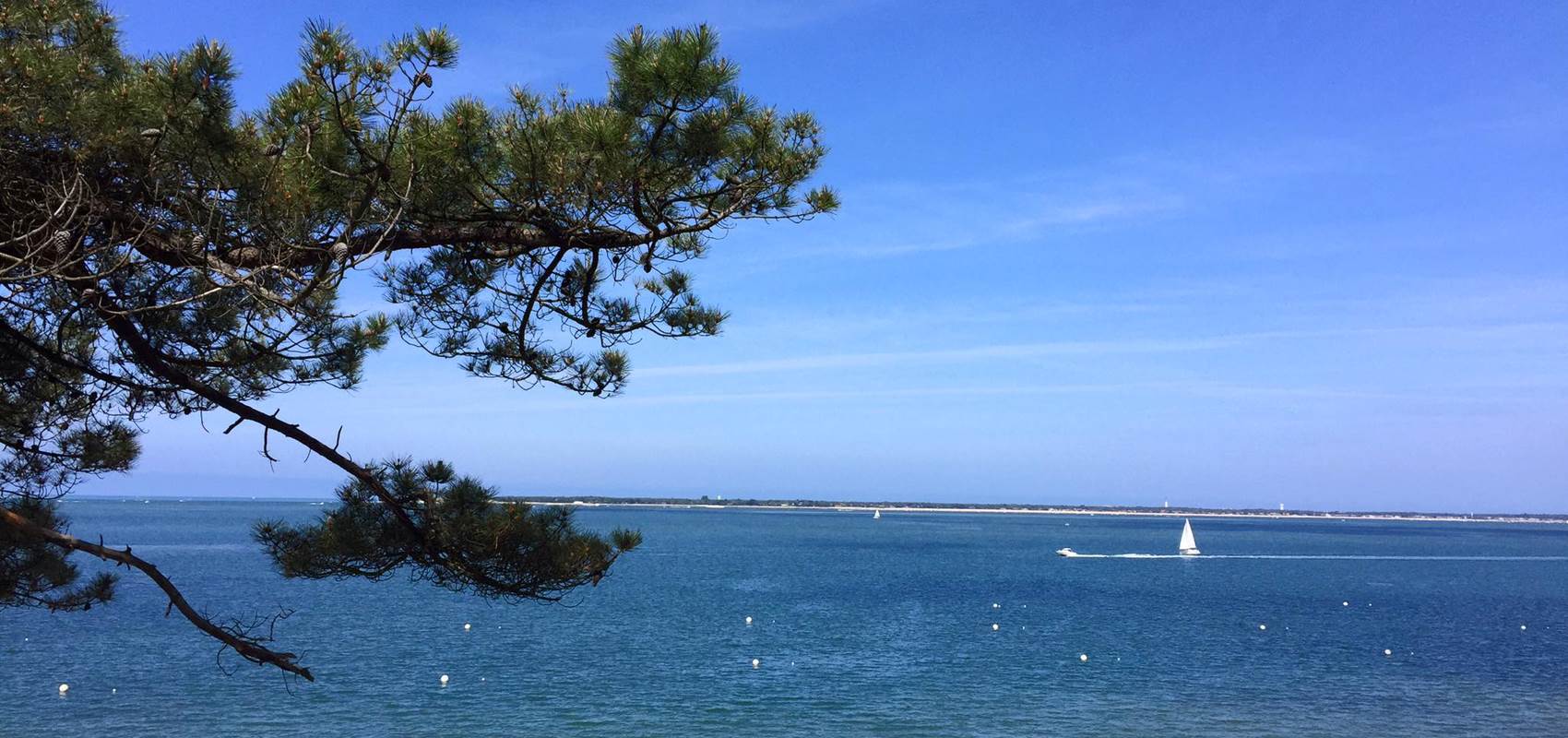 Bassin d'Arcachon-Locaplage