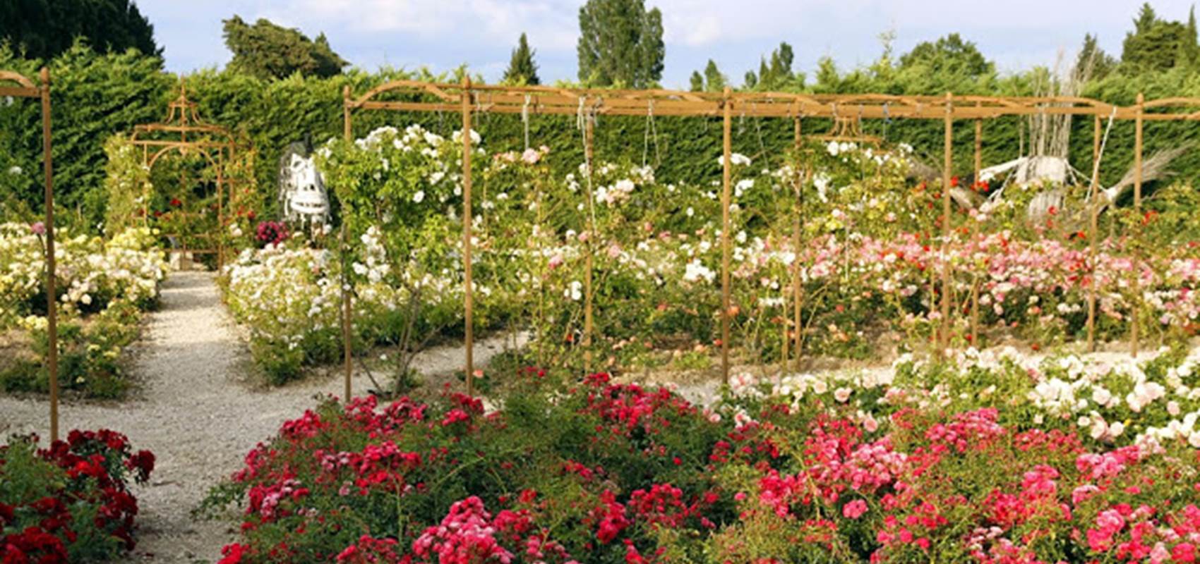 FR1406-1-009L00000 Mas des Figues